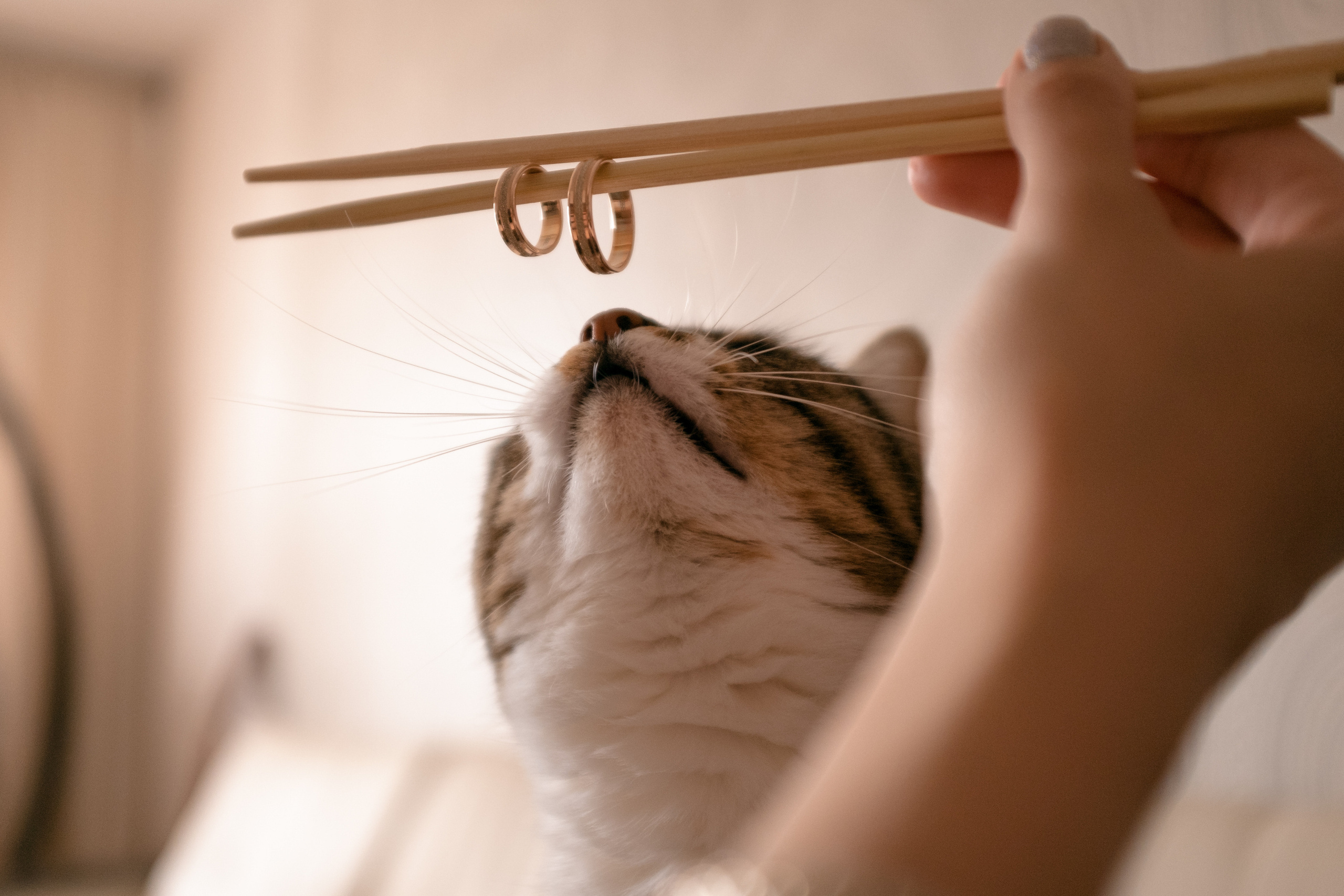 Александр и Ольга. Репортаж — Бэки — Портреты. Москва, СПб. Алексей Назаров