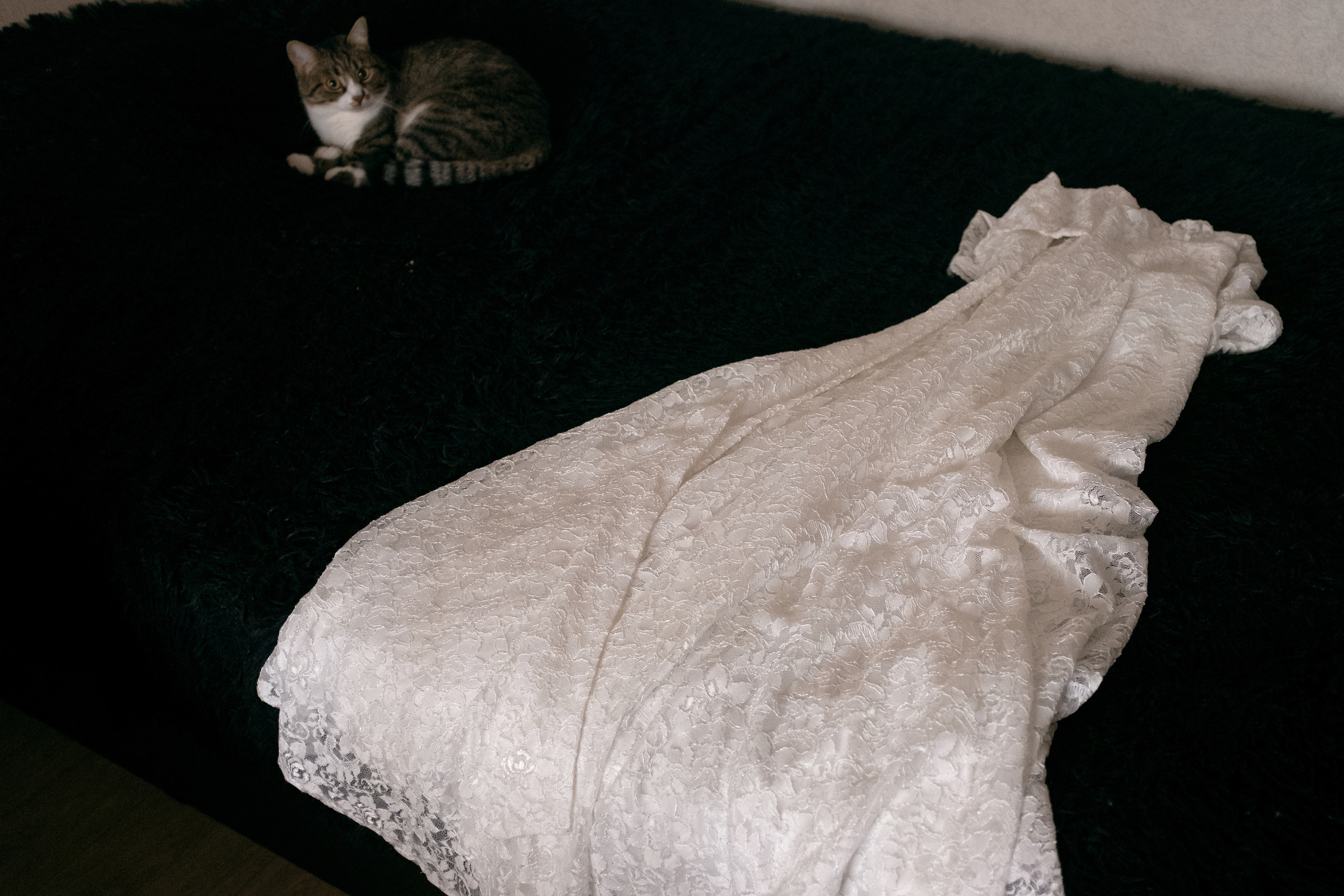 Александр и Ольга. Репортаж — Бэки — Портреты. Москва, СПб. Алексей Назаров