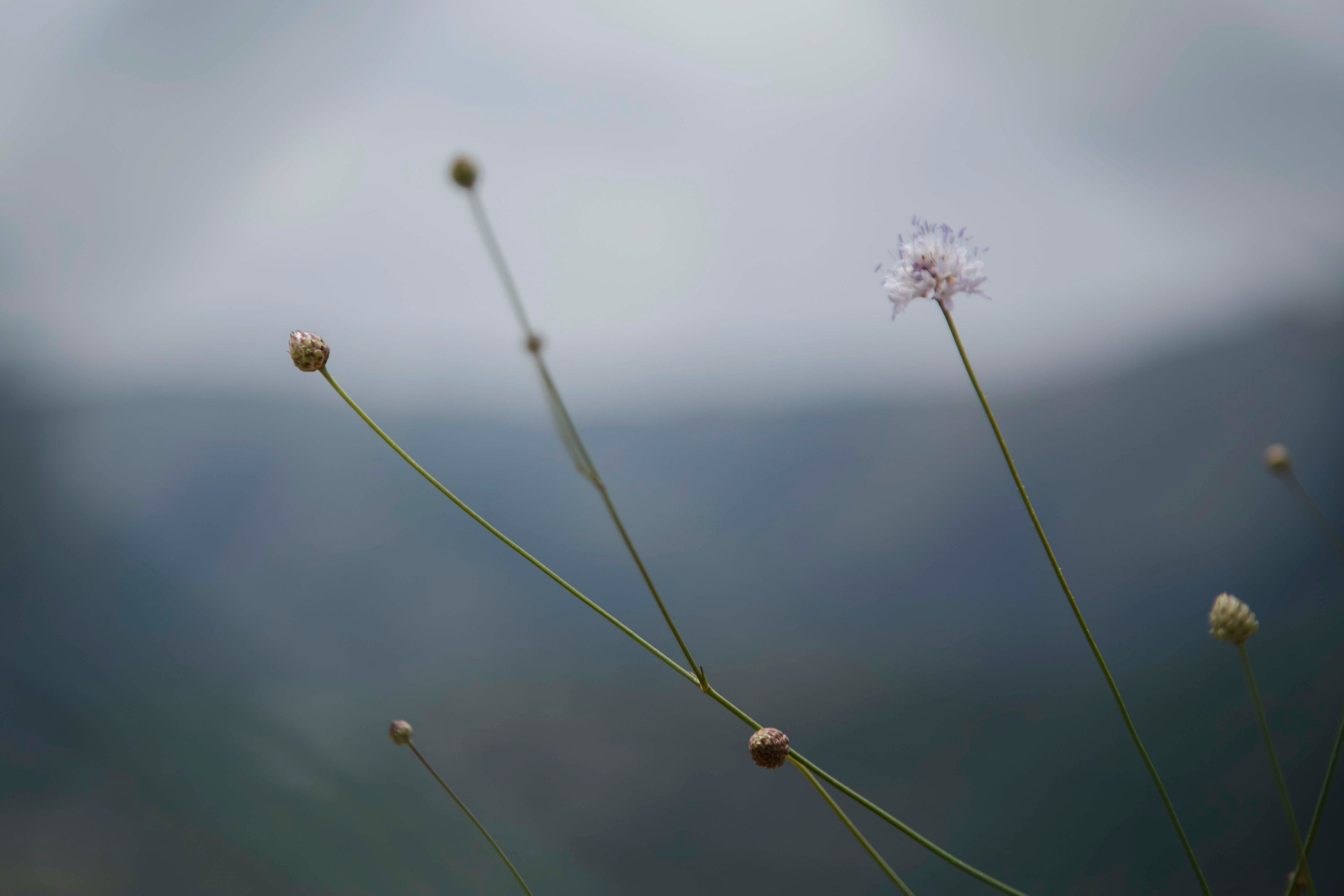 Lera. Семейный и детский фотограф в Санкт-Петербург. Natalia Fadel