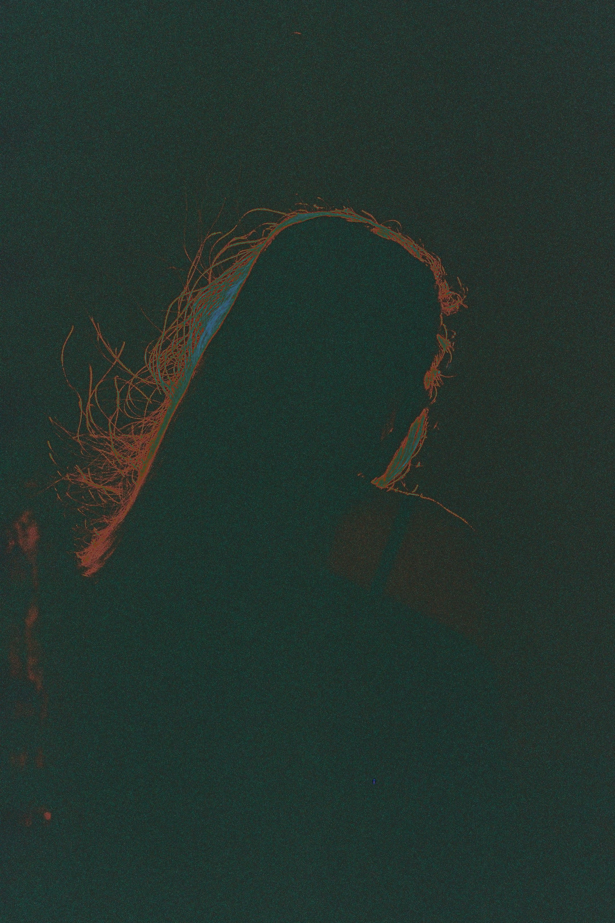 FILM WITH PEOPLE. Сocoobird || Атмосфера твоего бренда в снимках и видео