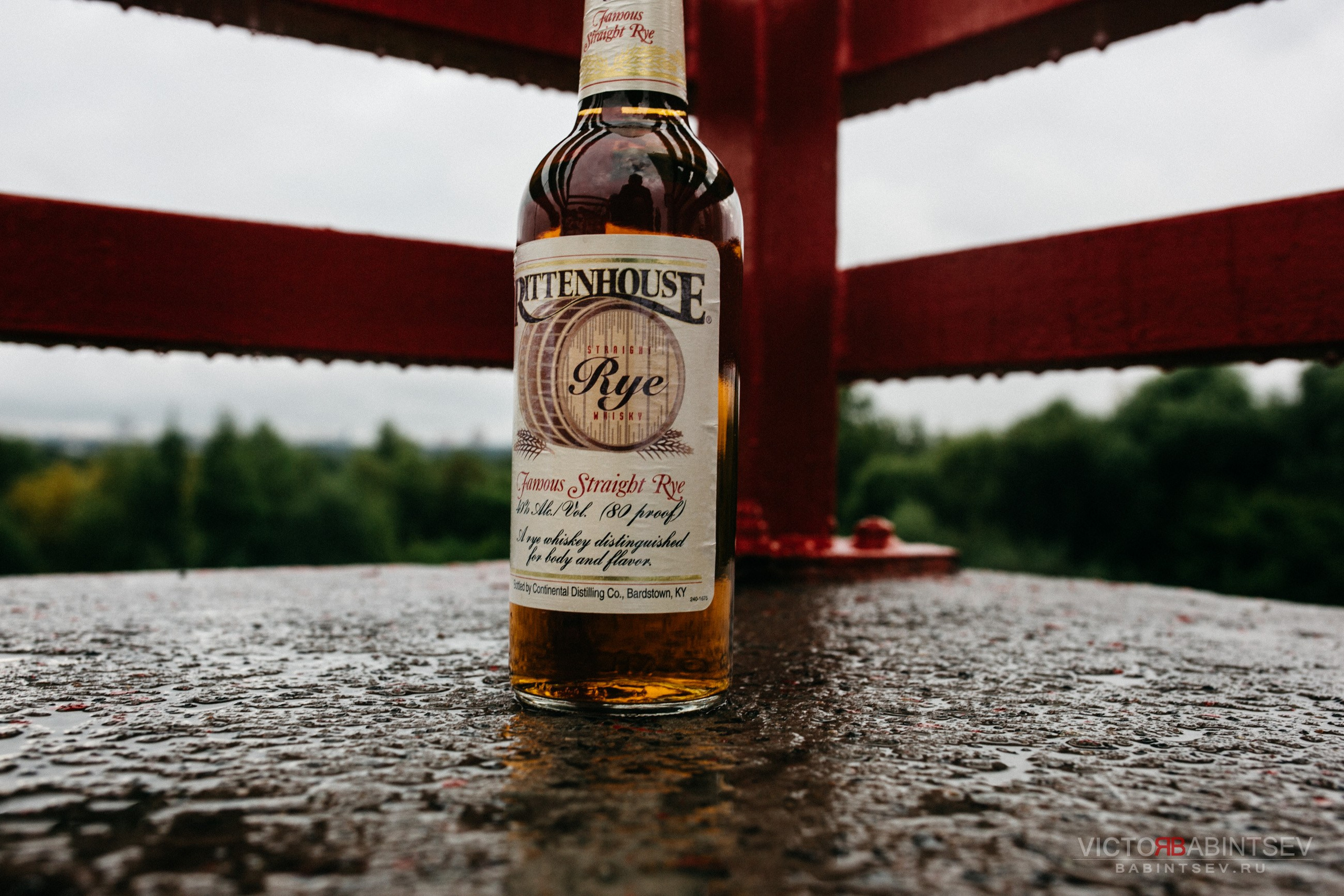 Whisky. Семейный и репортажной фотограф в Красноярске и Москве Виктор Бабинцев