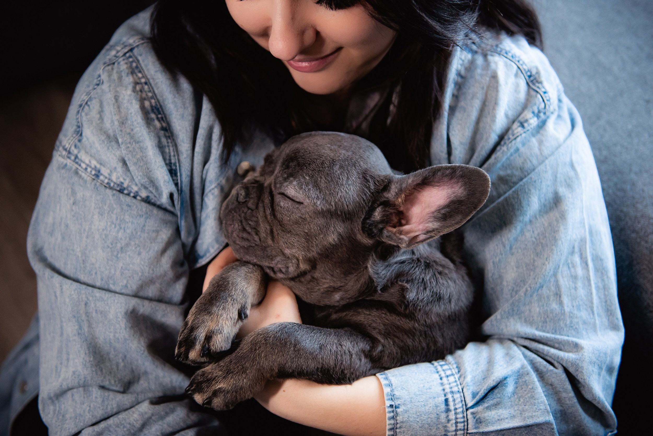 Бульдоги и компания. Семейный Фотограф в Москве Ирина Хохлова