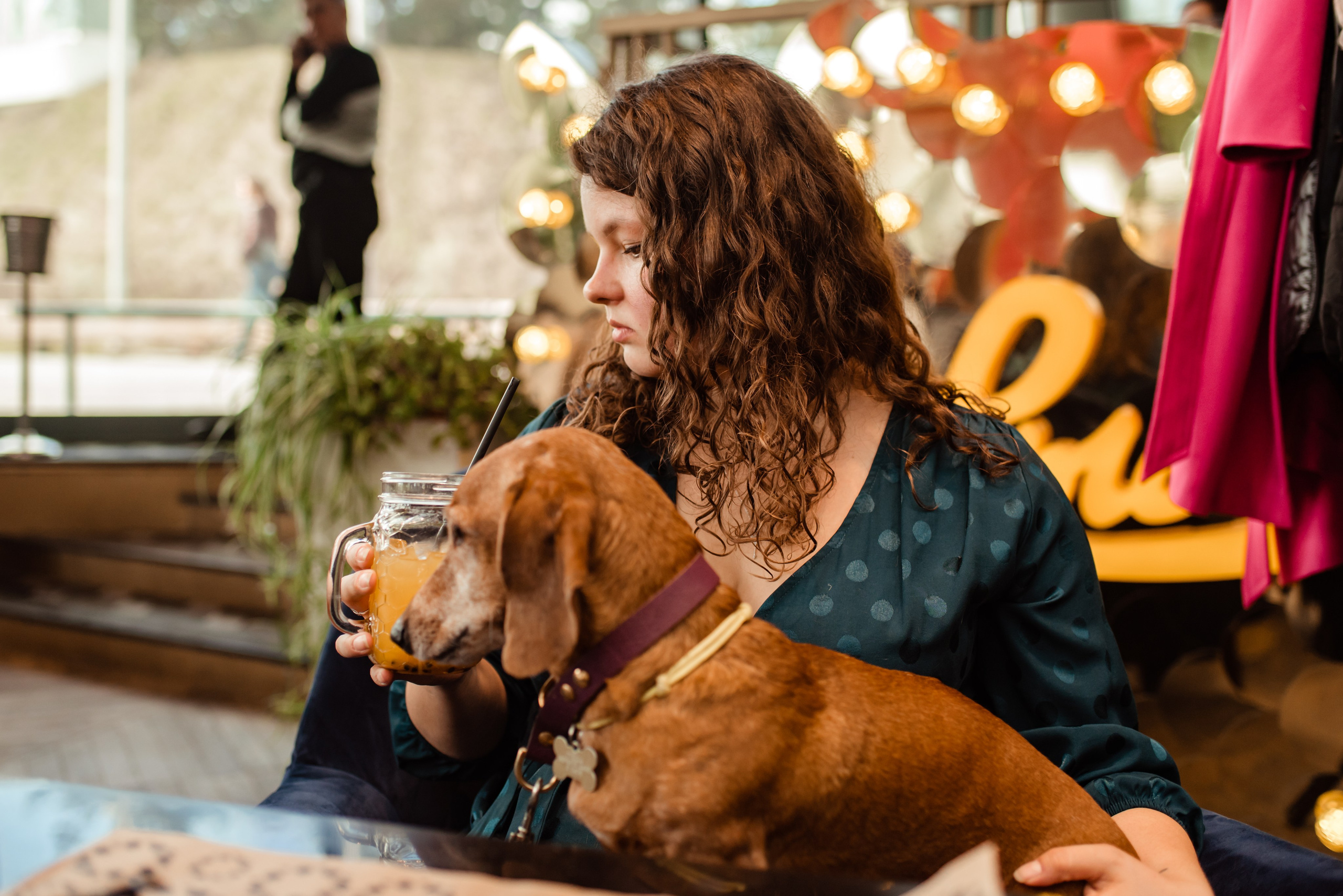 Таксы на Красной площади. Семейный Фотограф в Москве Ирина Хохлова