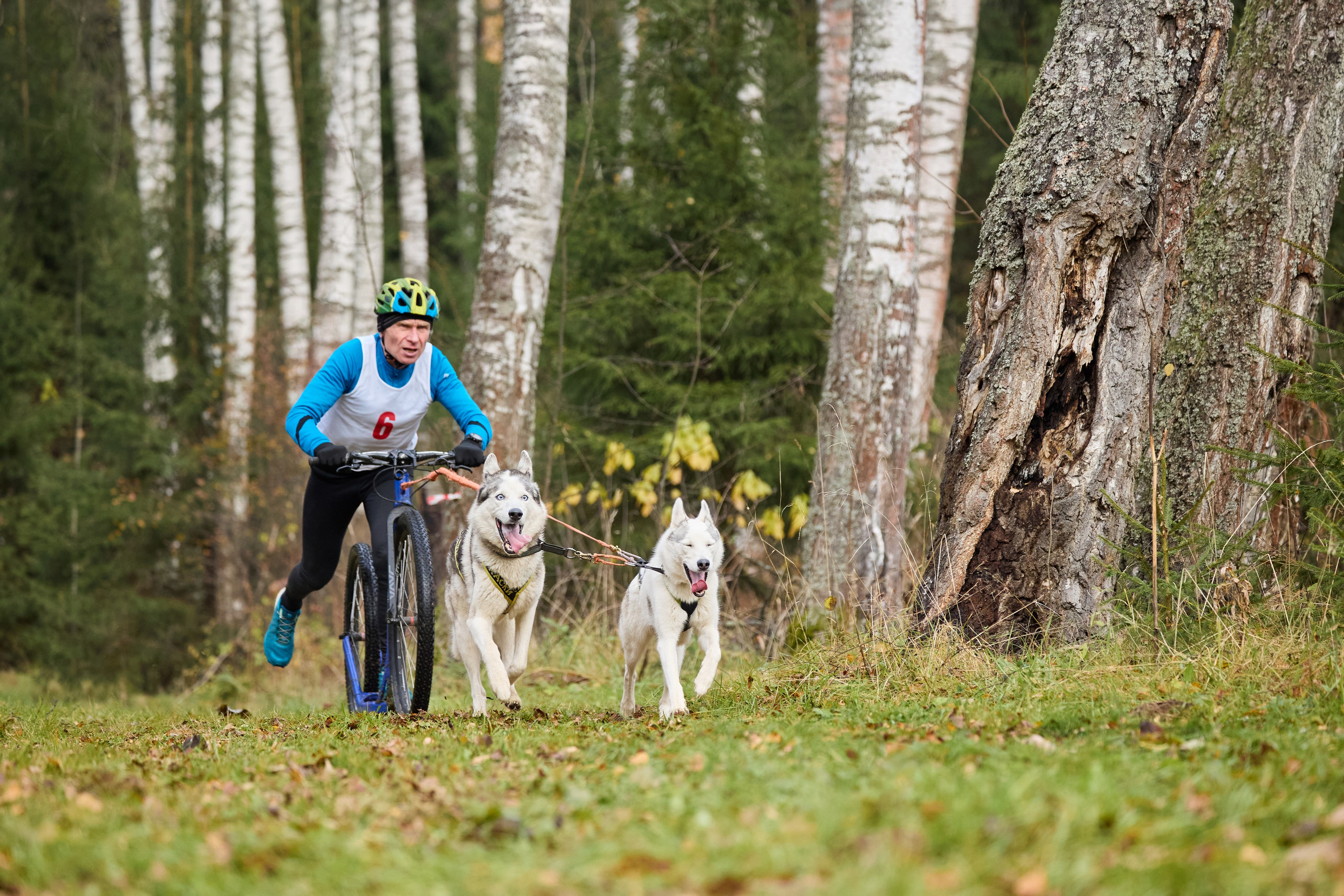 Чемпионат по ЕС Ярославской области. Фотограф Ирина Астор