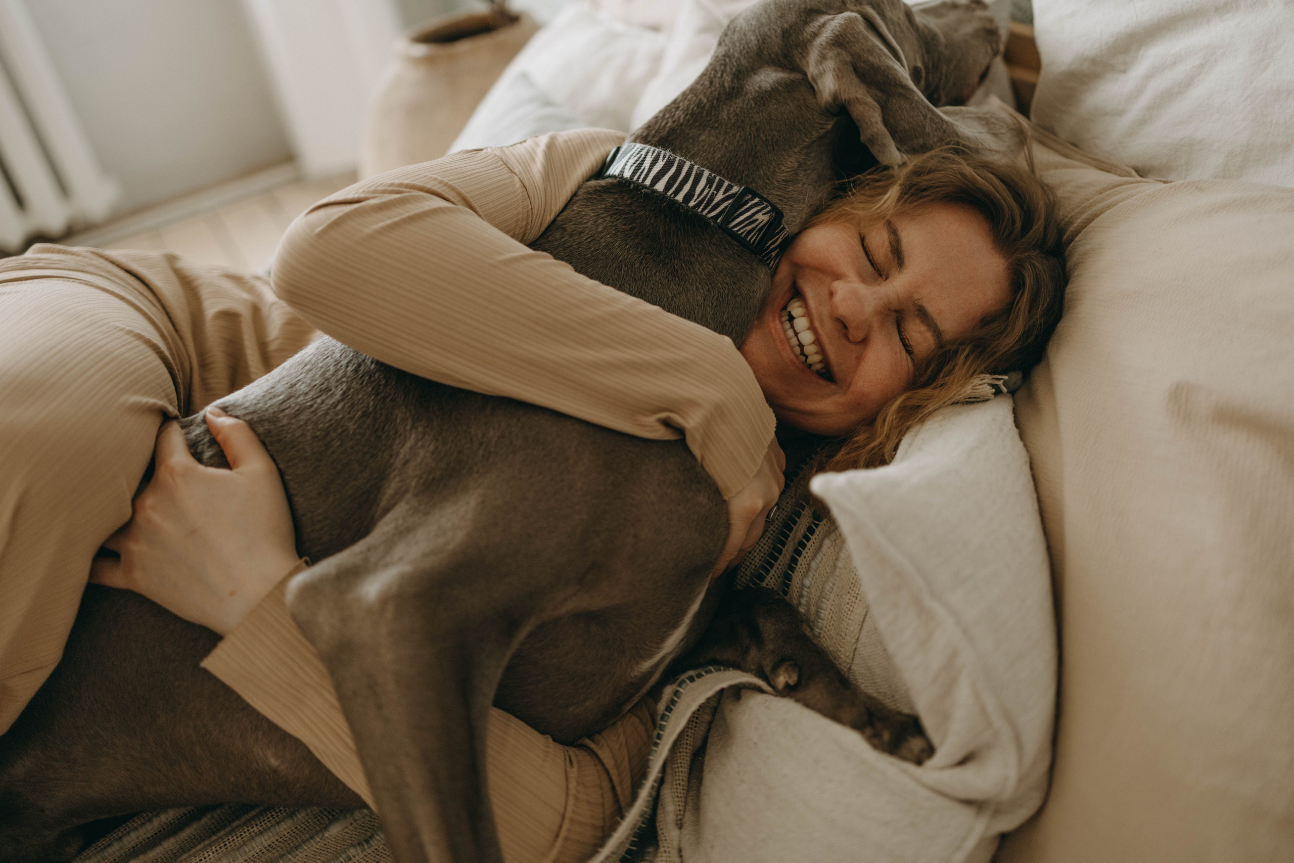 Фотосессия в студии с собакой. Фотограф-анималист в Екатеринбурге | Кристина