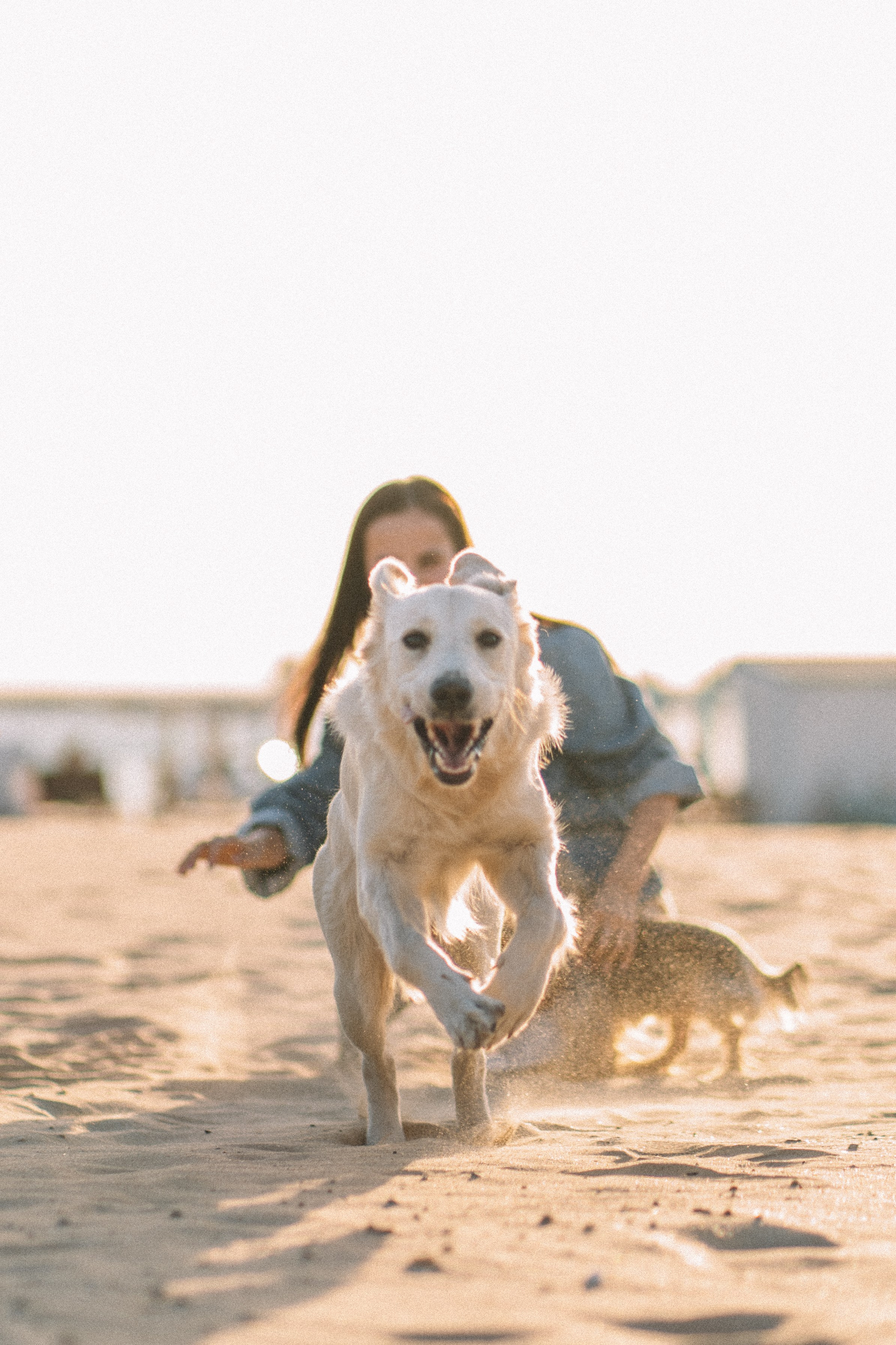 DogsVibe. Фотограф в Анапе Муратова Анна