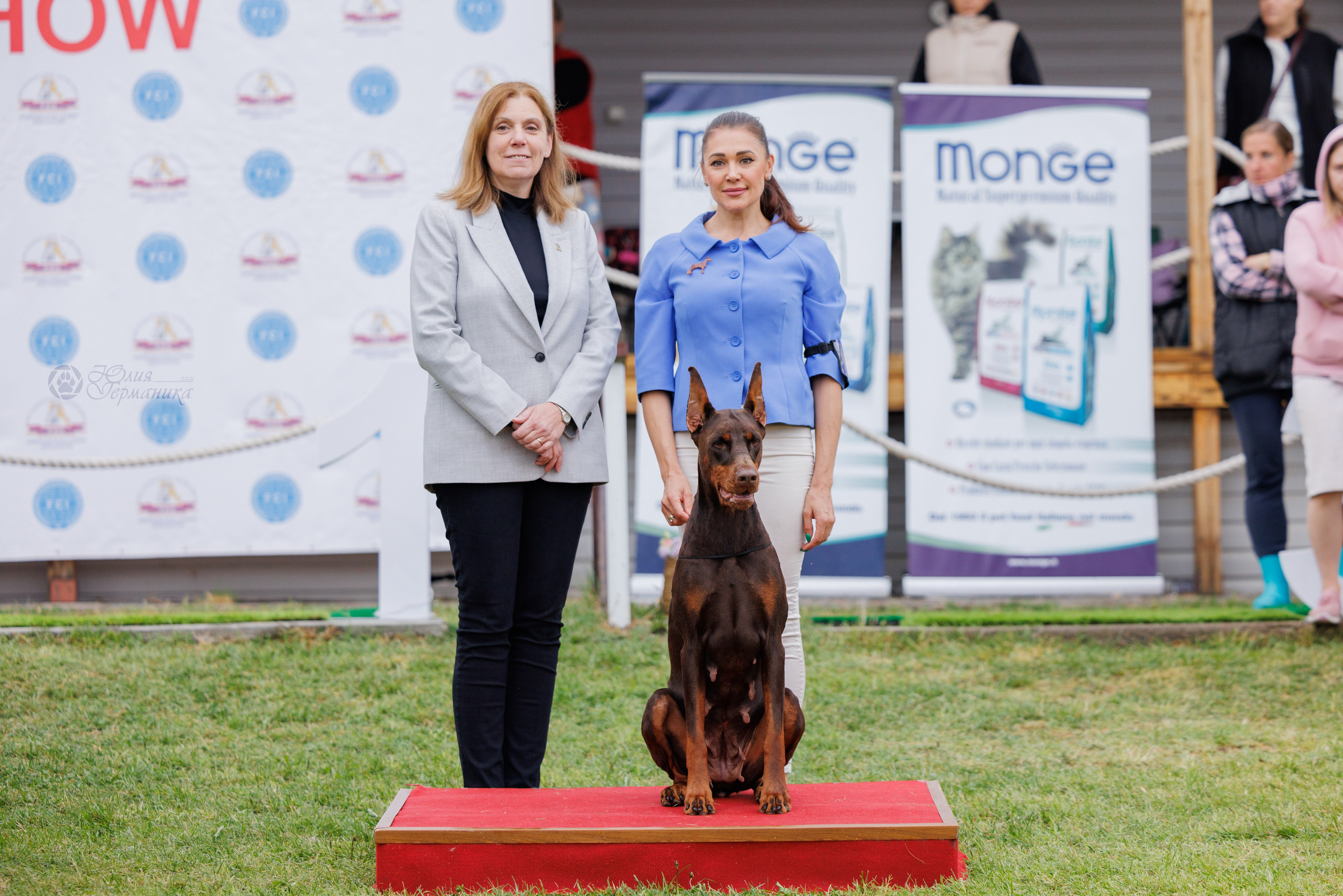 Армения,Ереван 3хCACIB 15-17.10.2024. Фотограф-анималист Юлия Германика