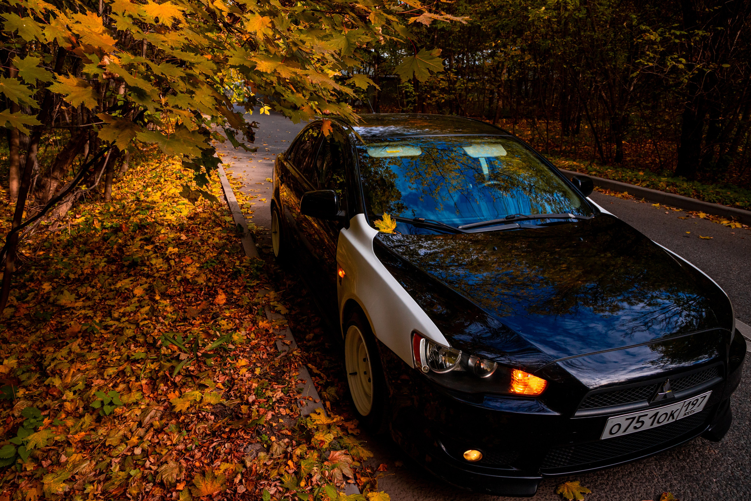 Lancer. Фотограф Анастасия Сонина