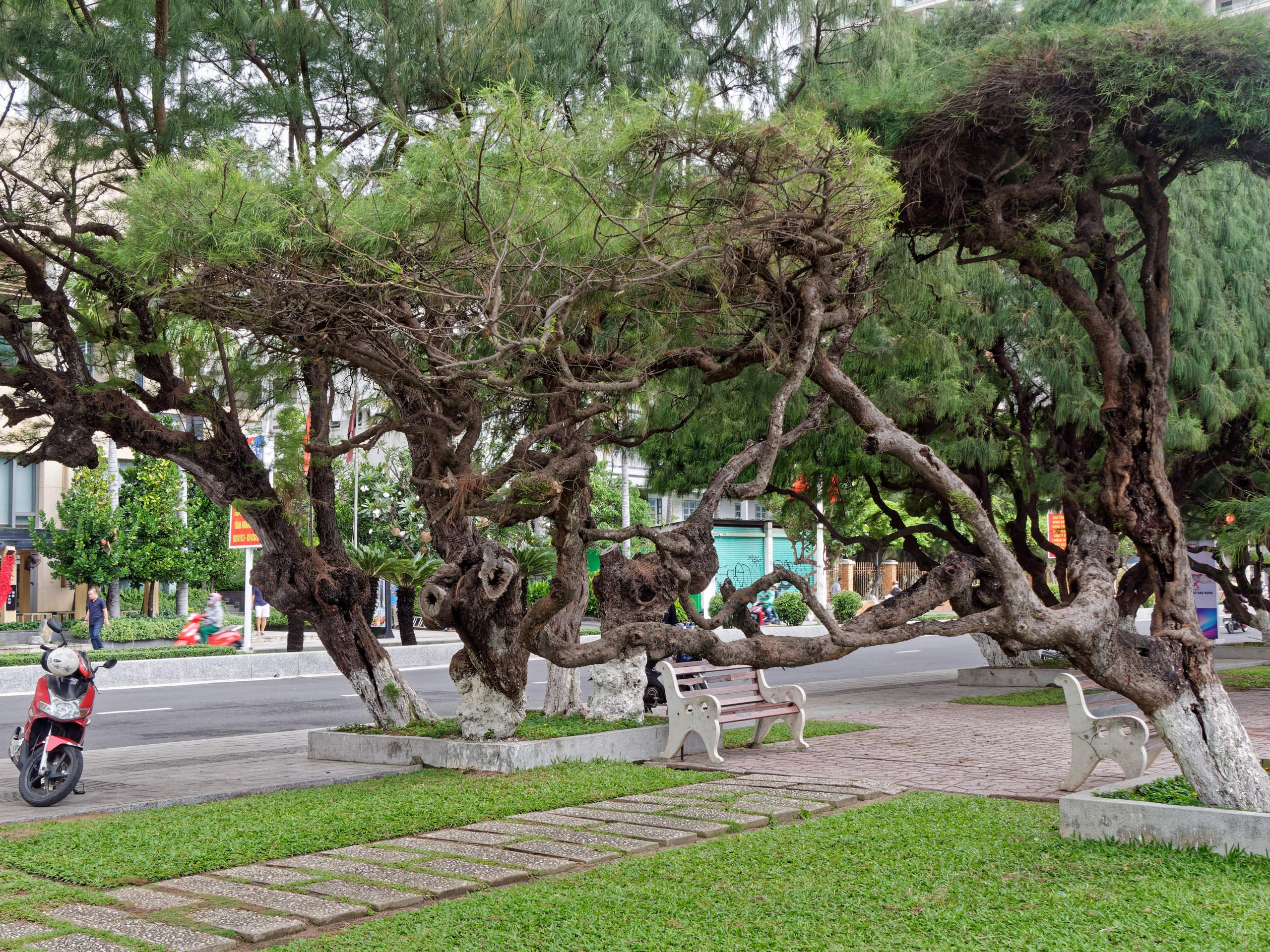 Нячанг 2025 (4). Избранные фотографии