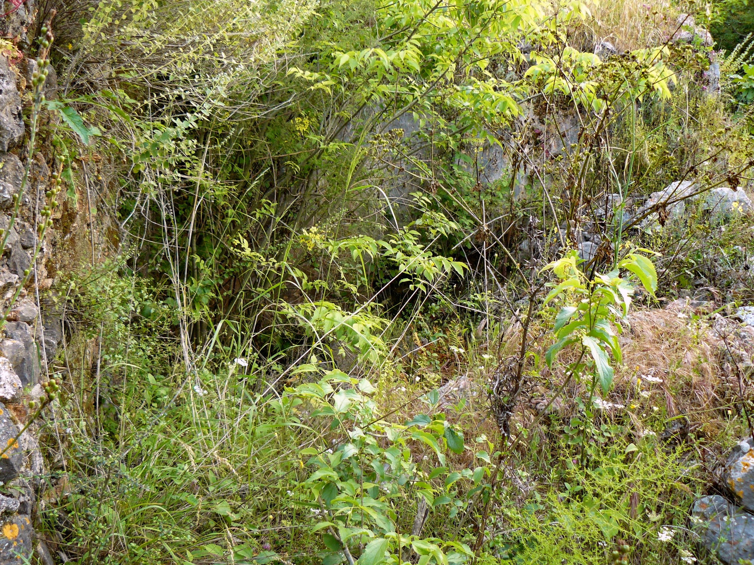 Алания 2014 старая крепость. Фотопрогулки по Миру