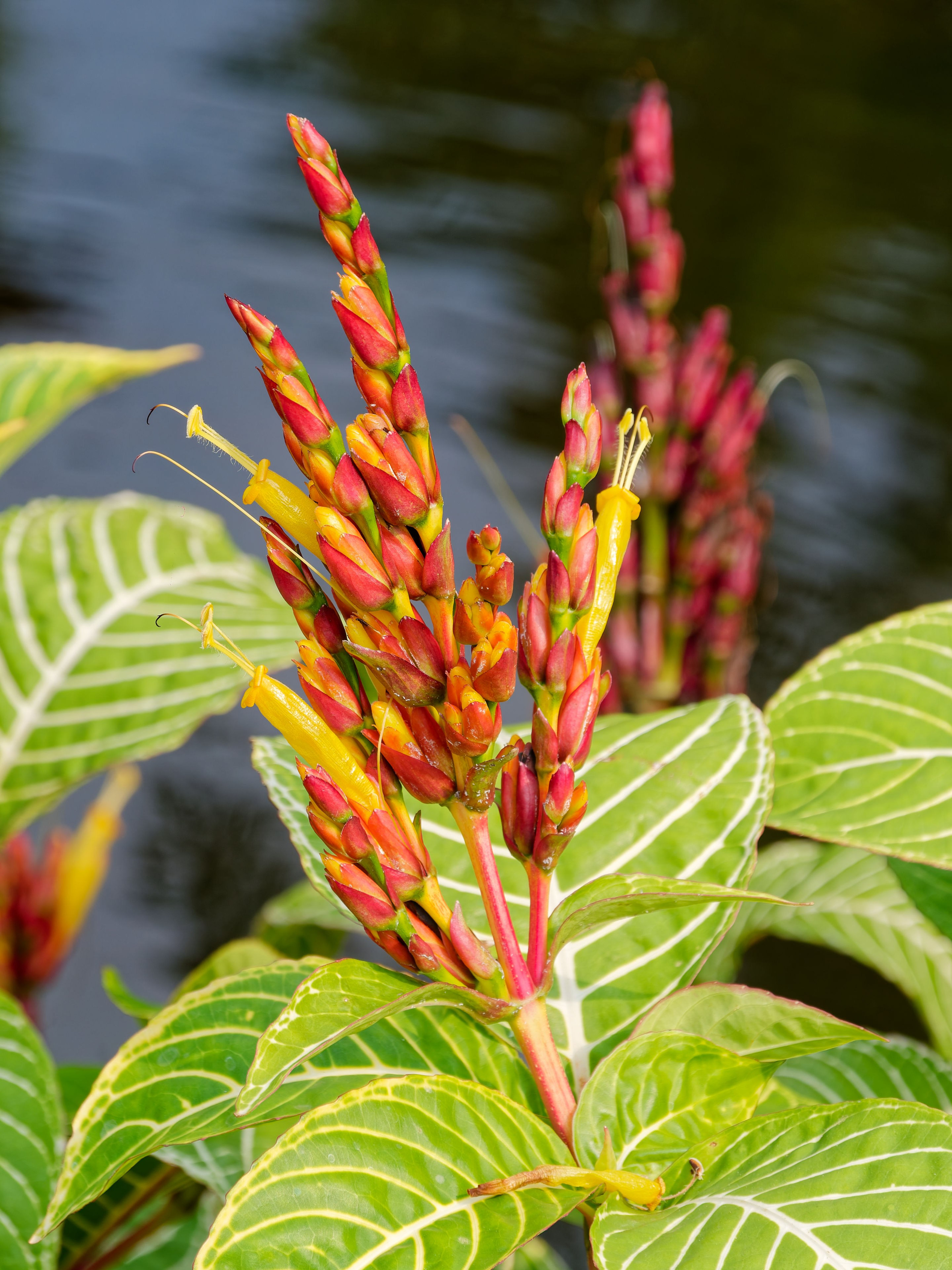 Хайнань 2026, первые впечатления. Фотопрогулки по Миру