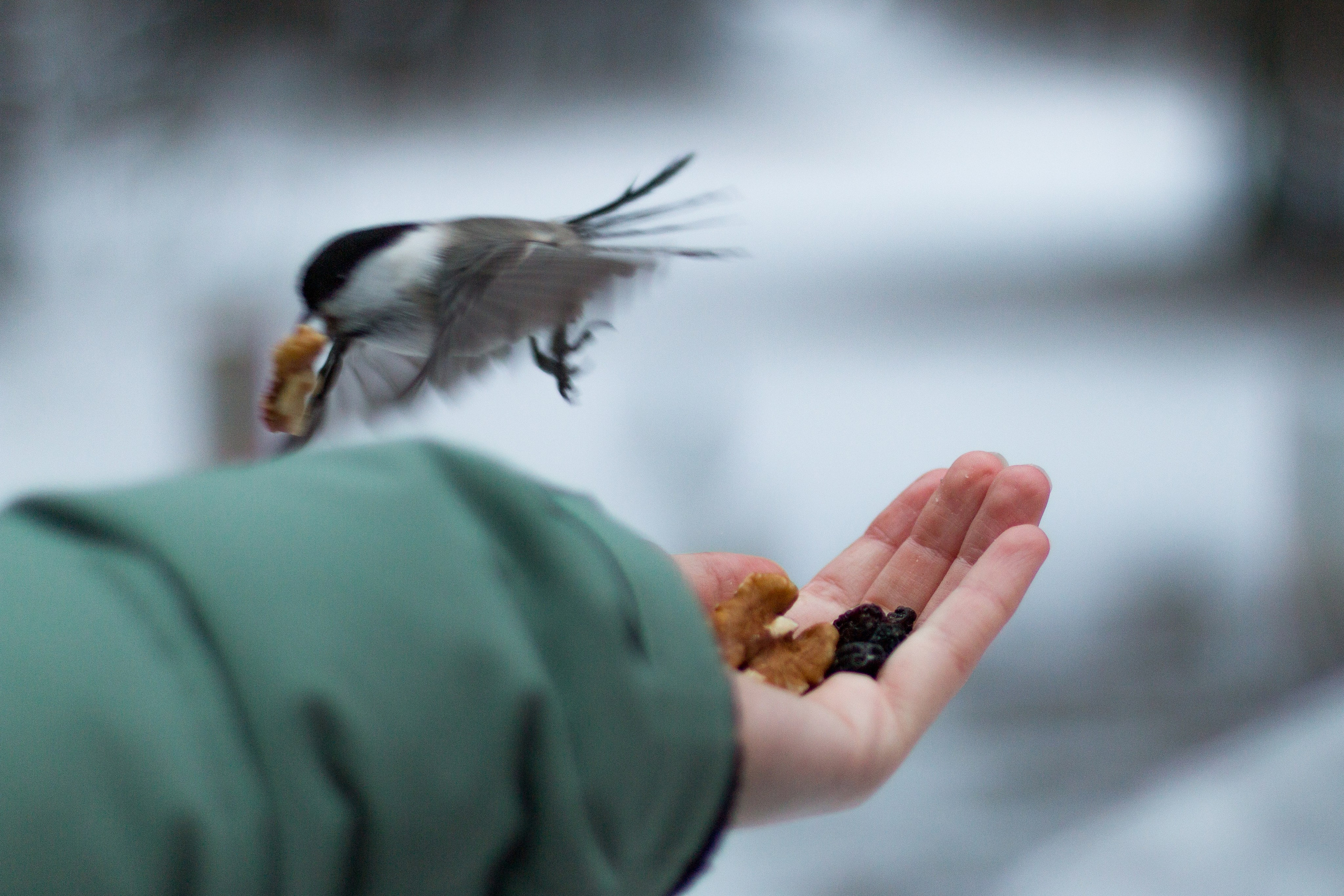 Русский север, Белое море, Архангельск. Фотограф в Сочи