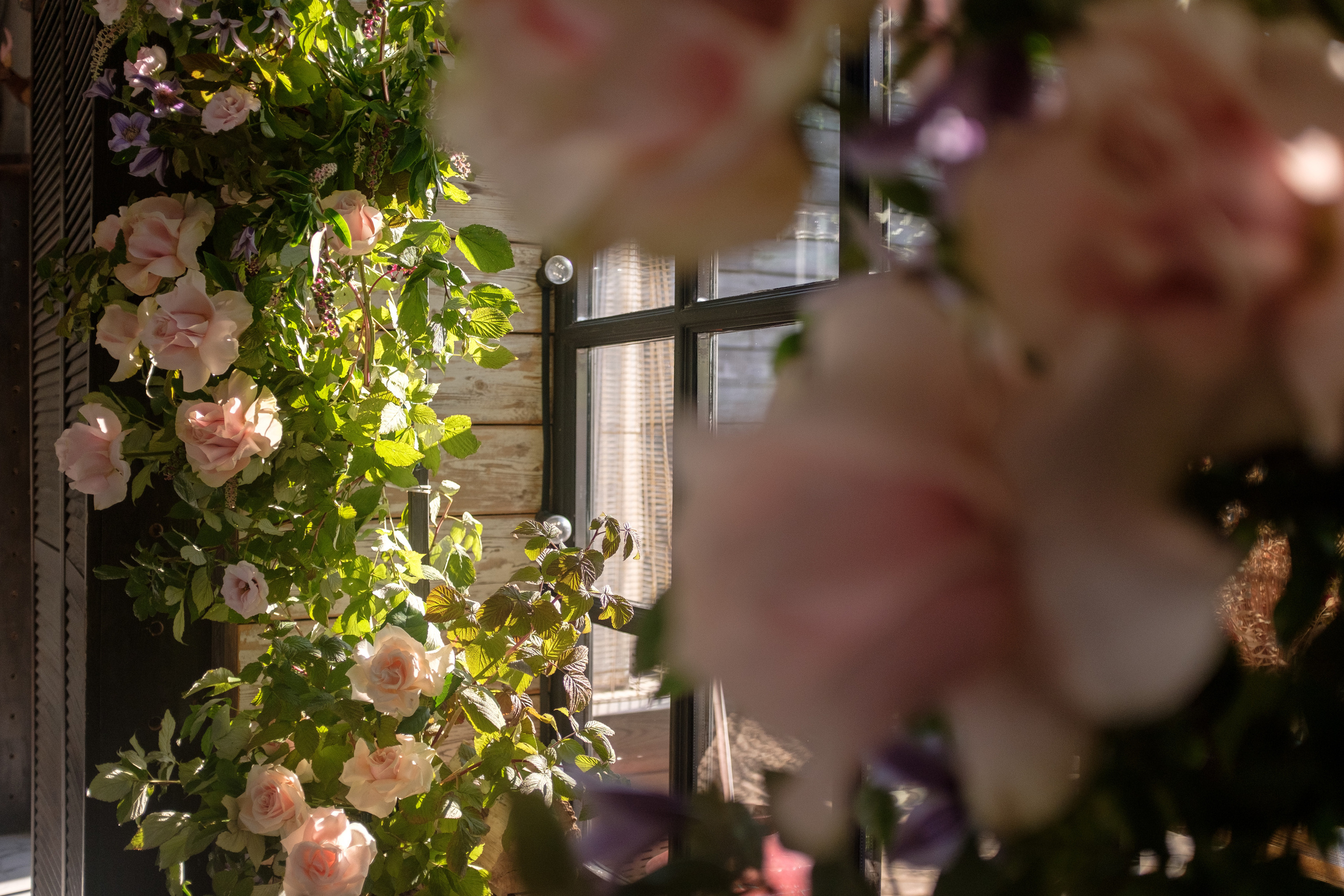 BackYard — DecorOli_Studio. Репортаж — Бэки — Портреты. Москва, СПб. Алексей Назаров