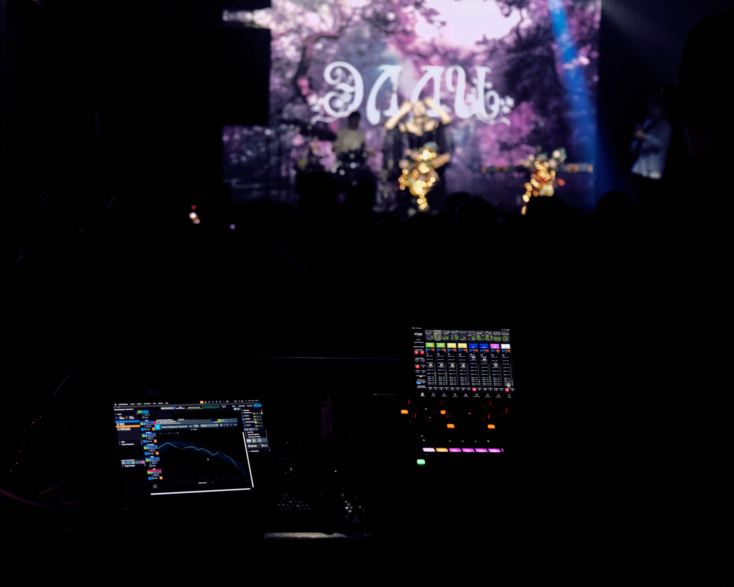 КОНЦЕРТЫ. ФОТОГРАФ В ЕКАТЕРИНБУРГЕ НАСТЯ MUSE