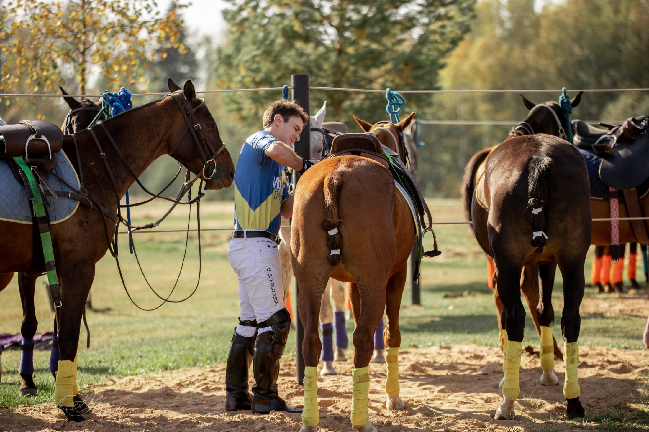 Осенний кубок по конному поло. Детская Конная фотография в Москве Юлия Шепелева