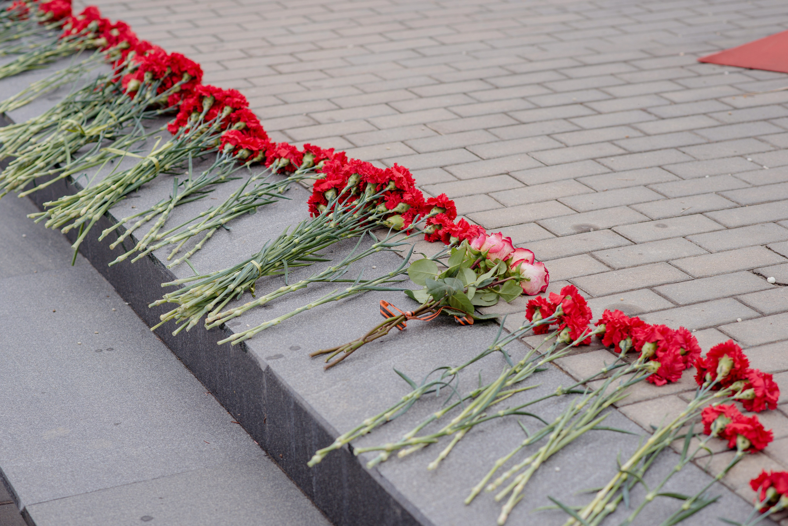 Николай и Виктория (г. Кашира). Королева Елена Свадебный и семейный фотограф в Туле