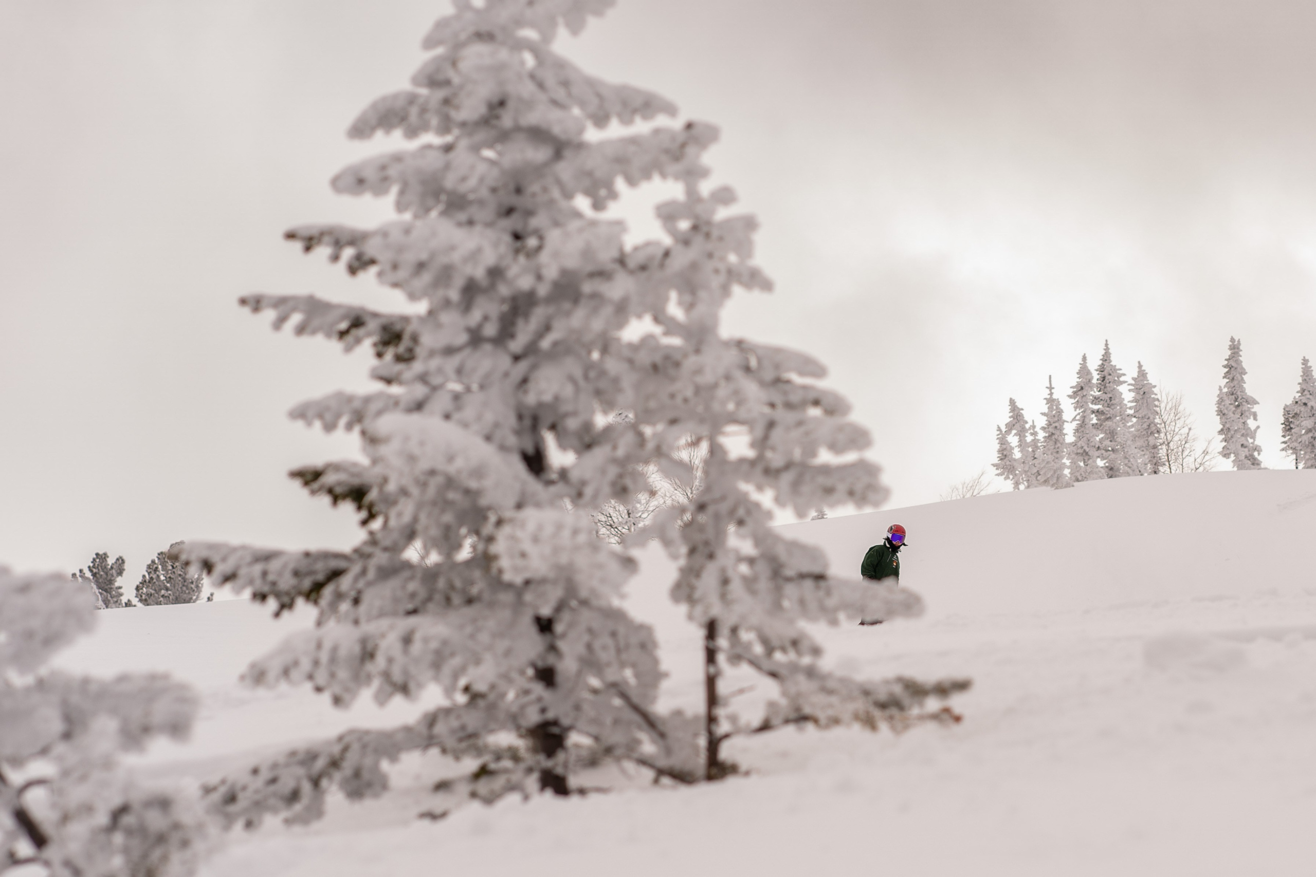 Фрирайд. Анастасия Паршукова — фотограф Шерегеш Новосибирск