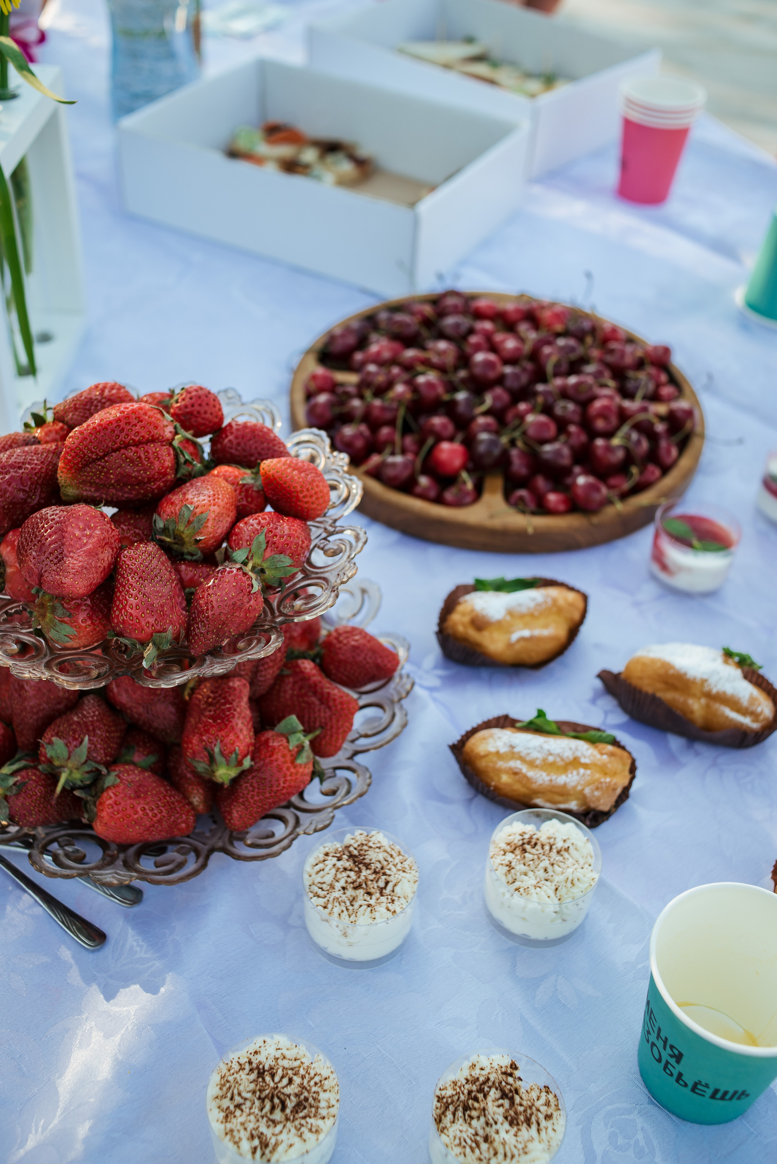 Гендер-пати. Фотограф Екатерина Шереметова Ижевск Сарапул Воткинск