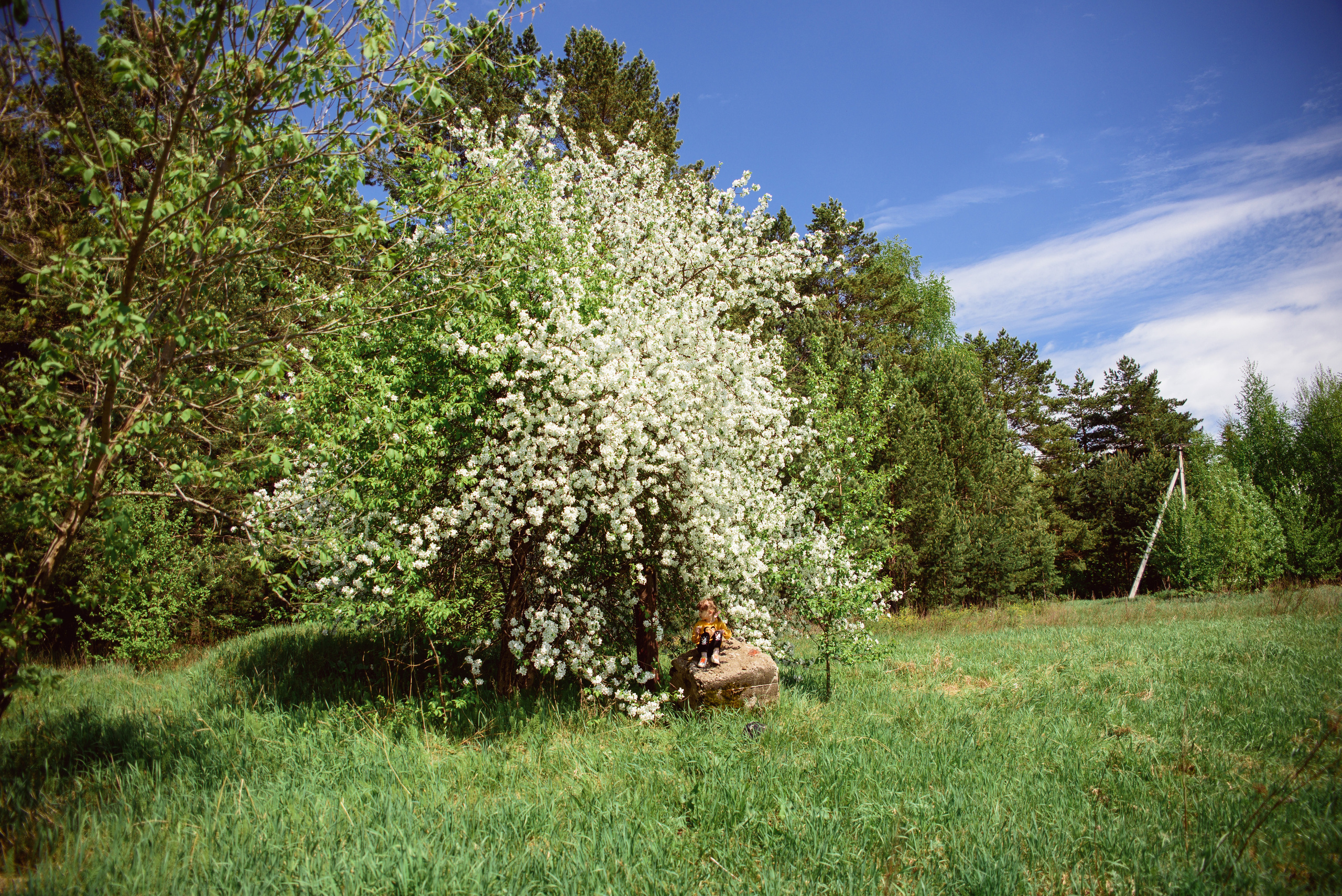 Фотосессия весной. Фотограф Екатерина Шереметова Ижевск Сарапул Воткинск
