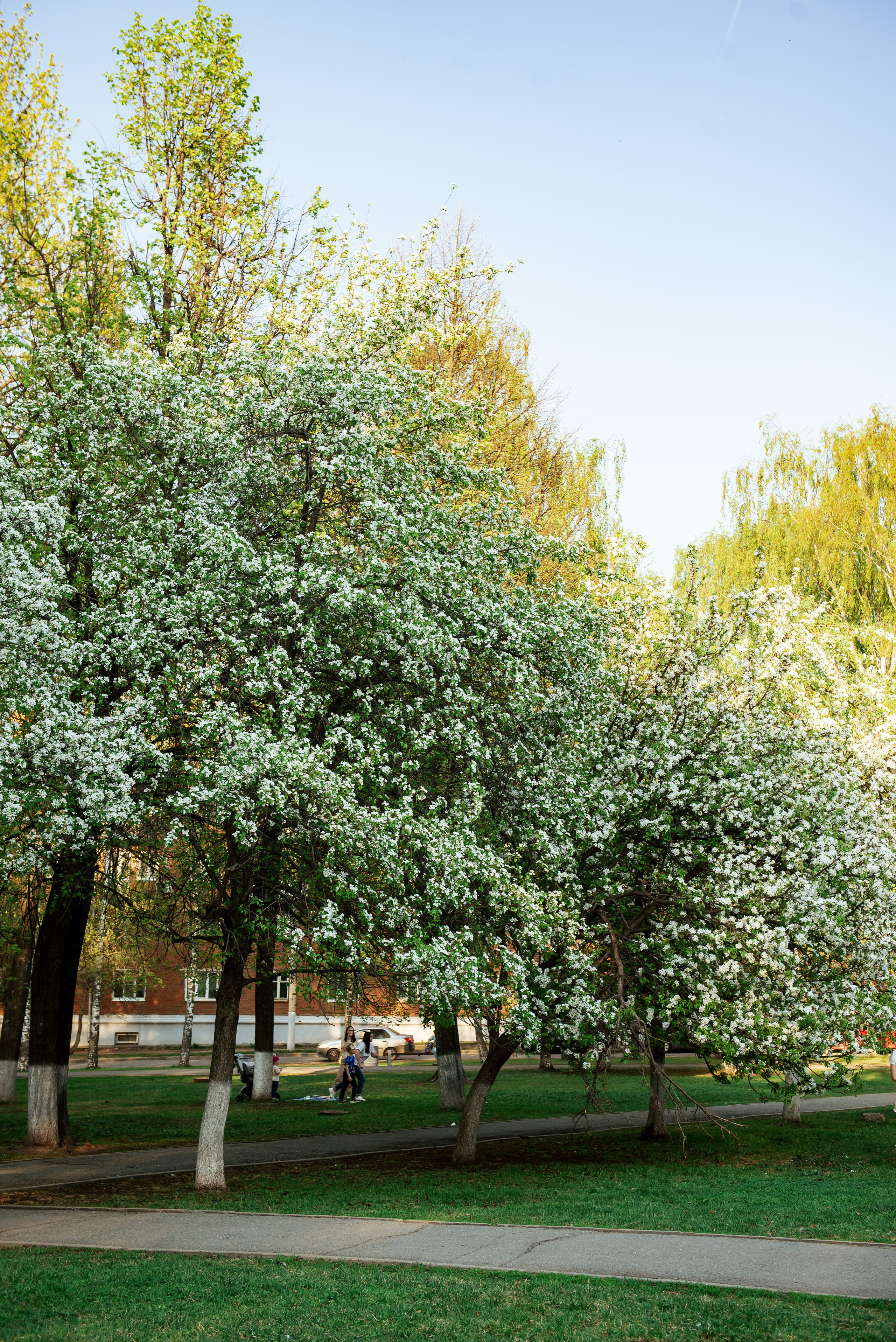 Фотосессия весной. Фотограф Екатерина Шереметова Ижевск Сарапул Воткинск