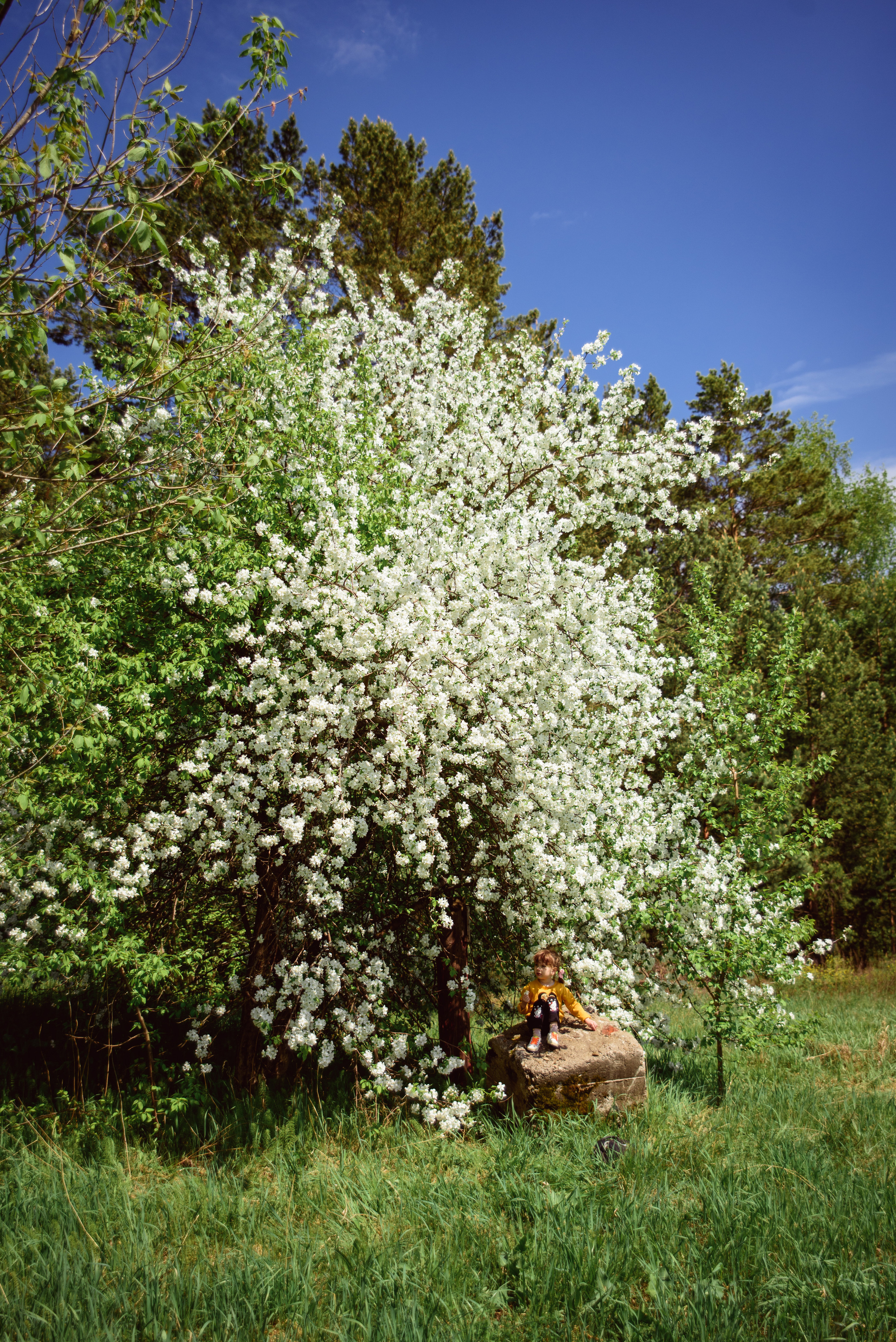 Фотосессия весной. Фотограф Екатерина Шереметова Ижевск Сарапул Воткинск