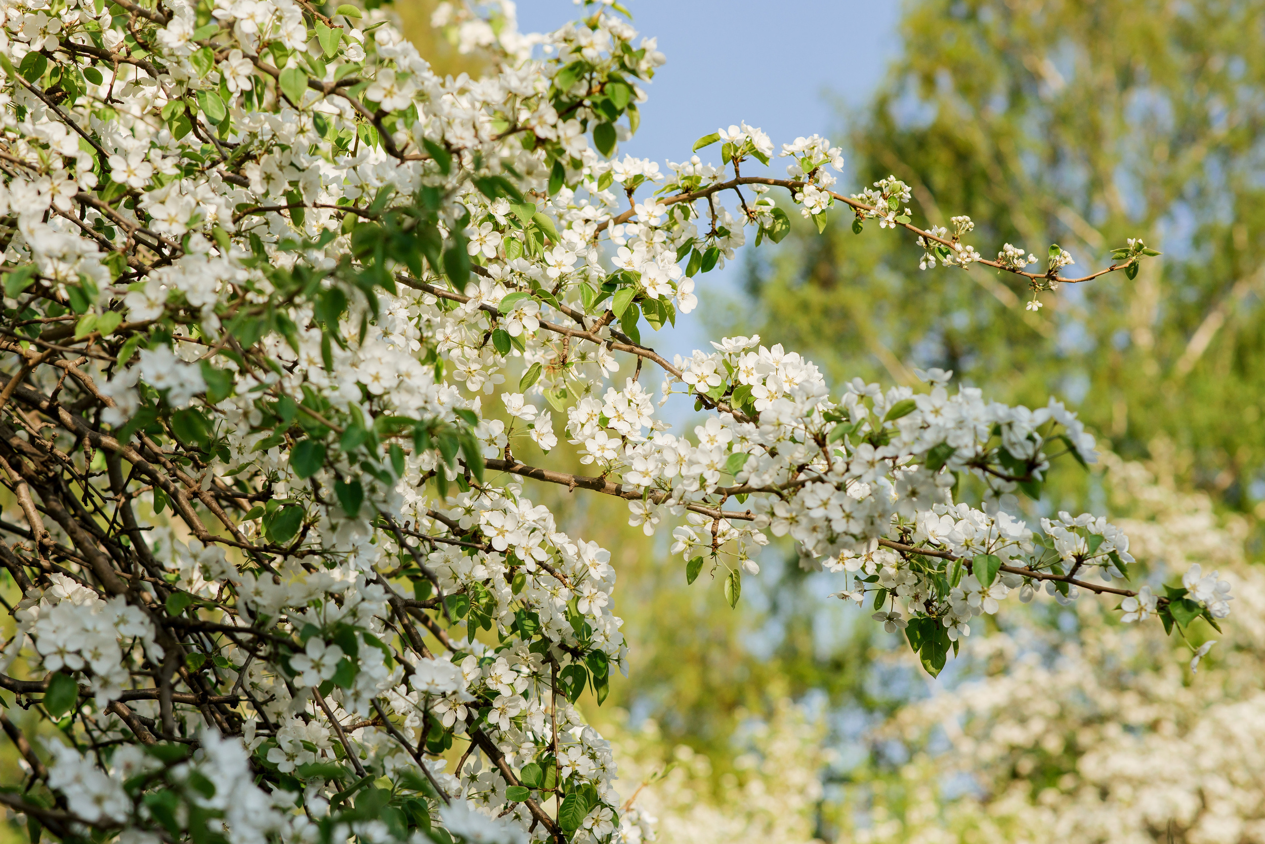 Фотосессия весной. Фотограф Екатерина Шереметова Ижевск Сарапул Воткинск