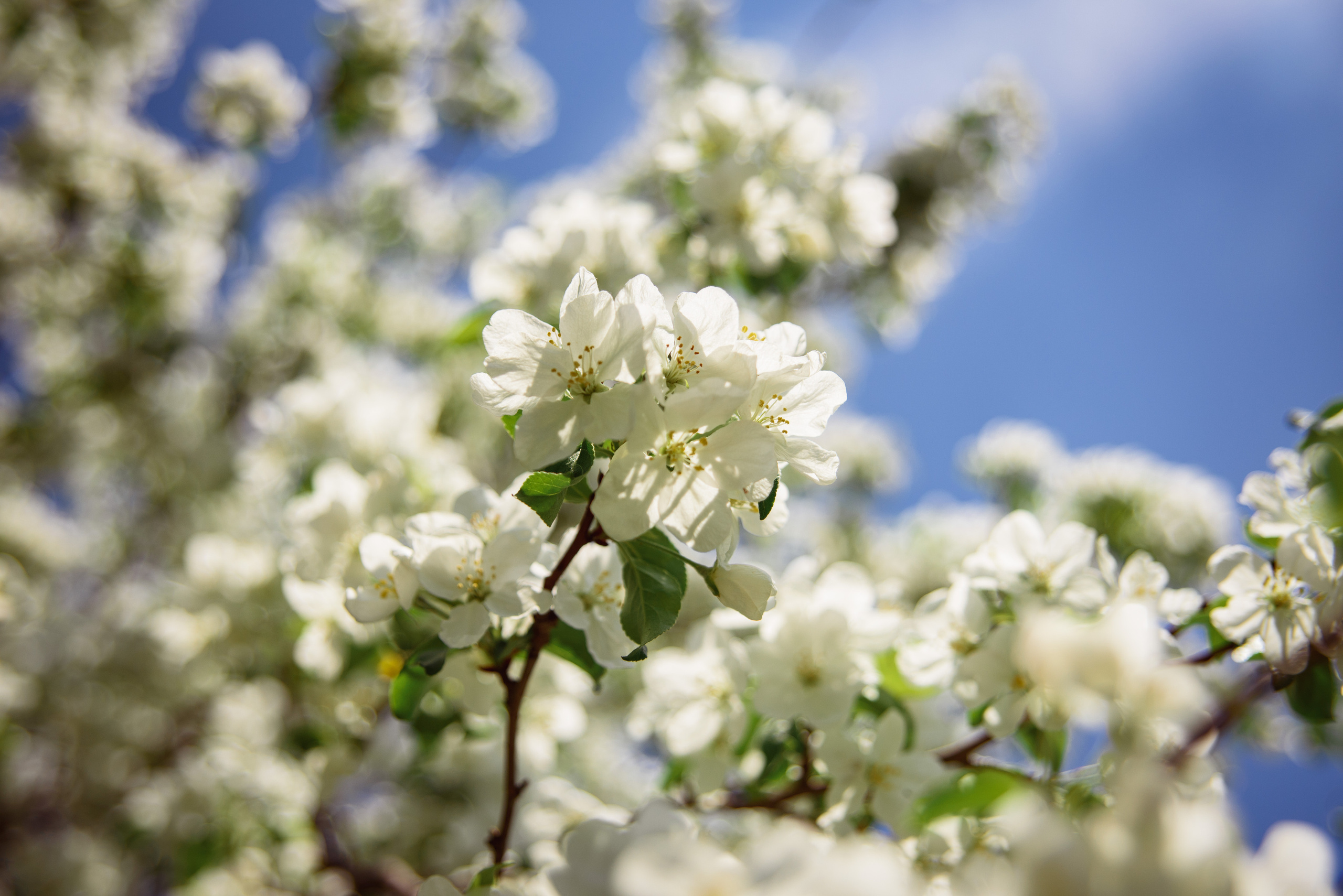Фотосессия весной. Фотограф Екатерина Шереметова Ижевск Сарапул Воткинск