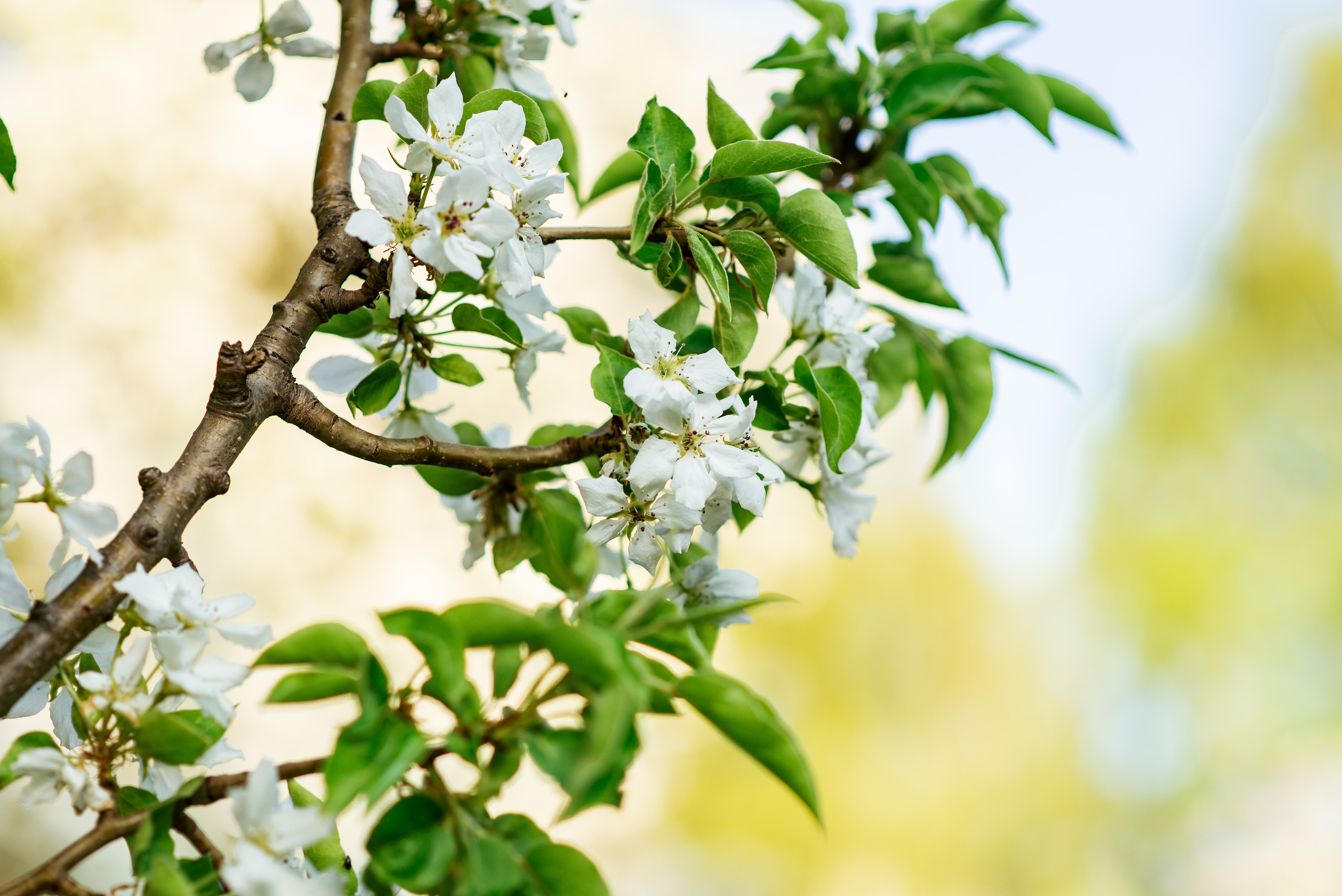 Фотосессия весной. Фотограф Екатерина Шереметова Ижевск Сарапул Воткинск