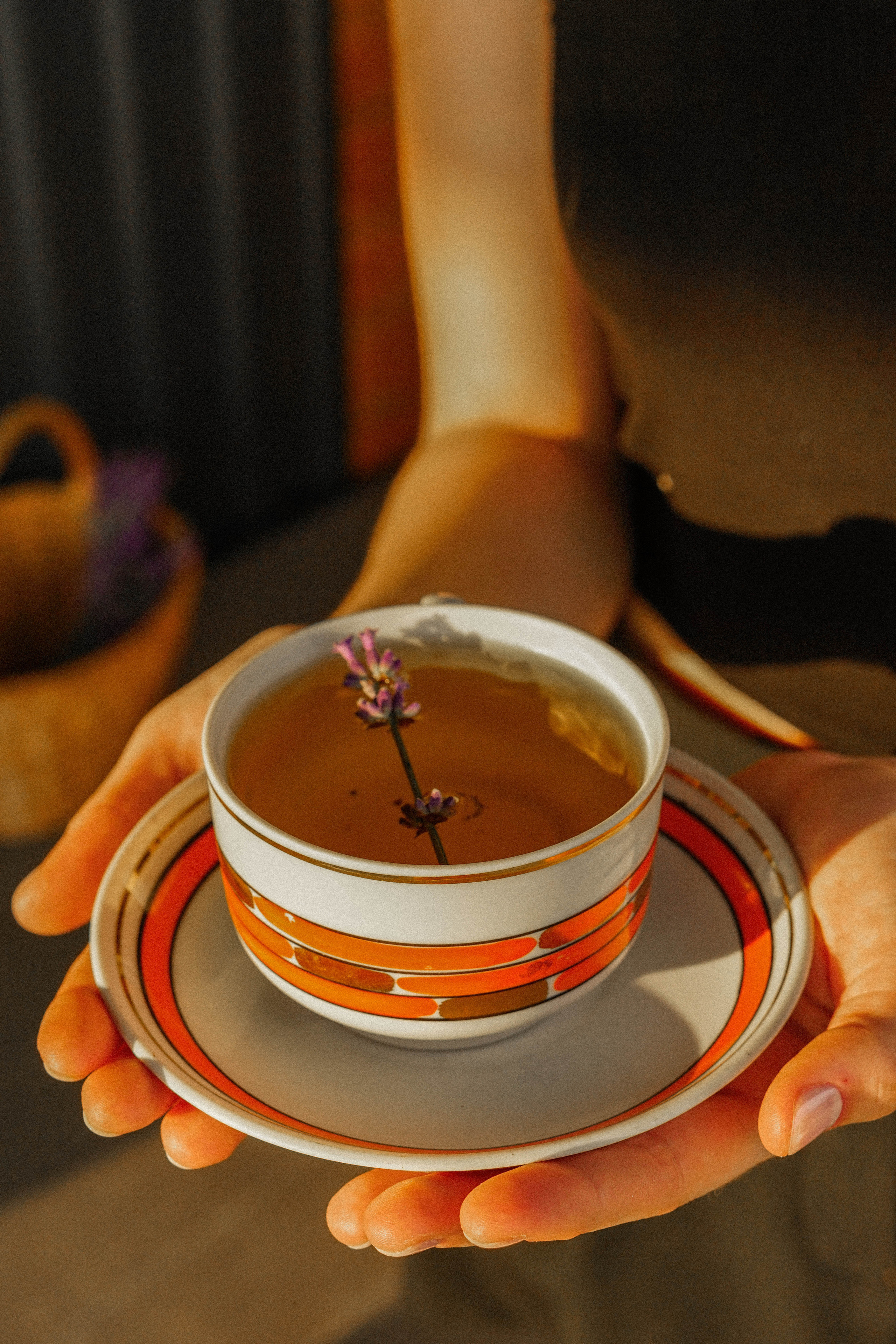 Lavanda. Фотограф в Крыму