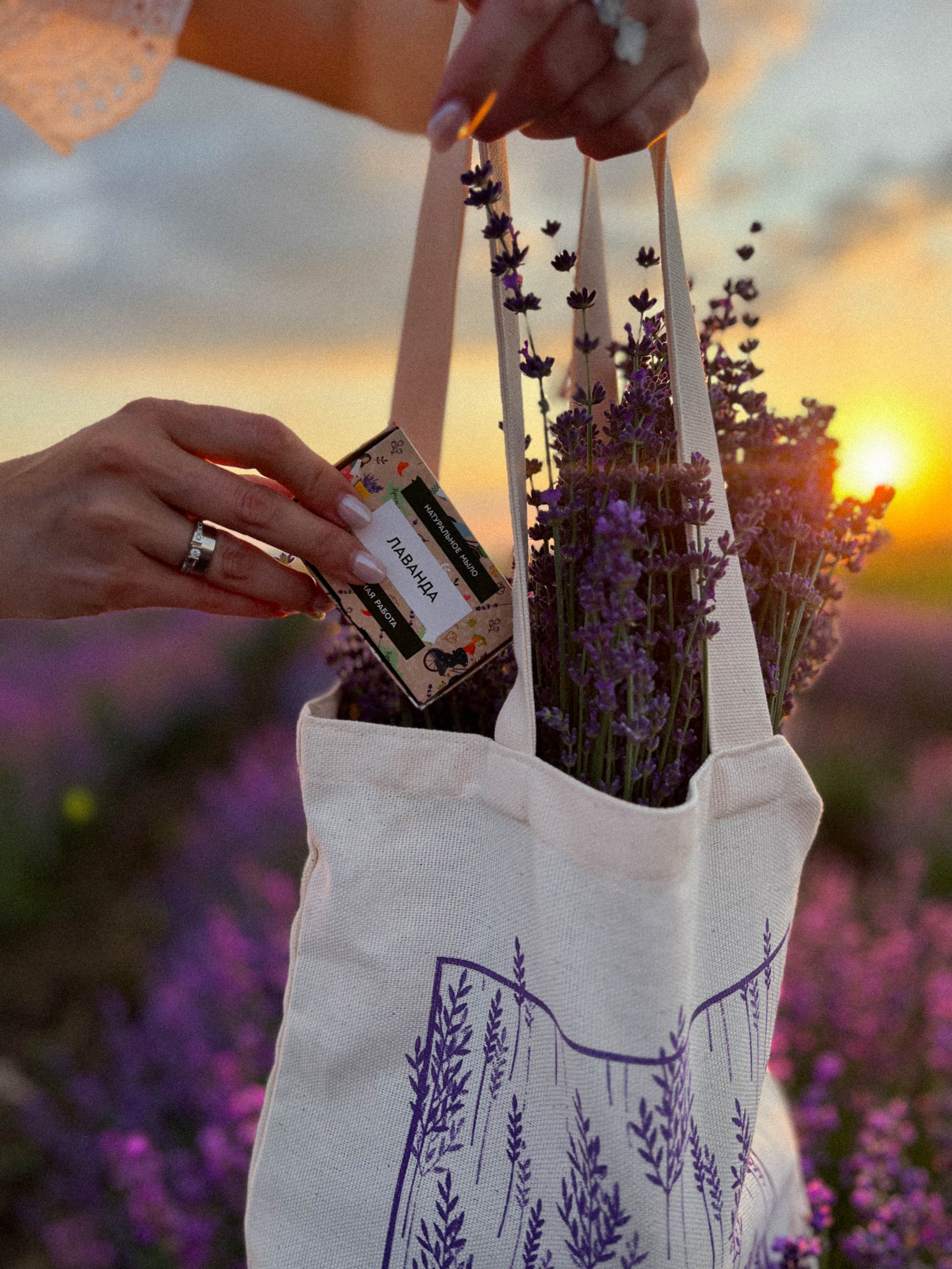 Lavanda. Фотограф в Крыму