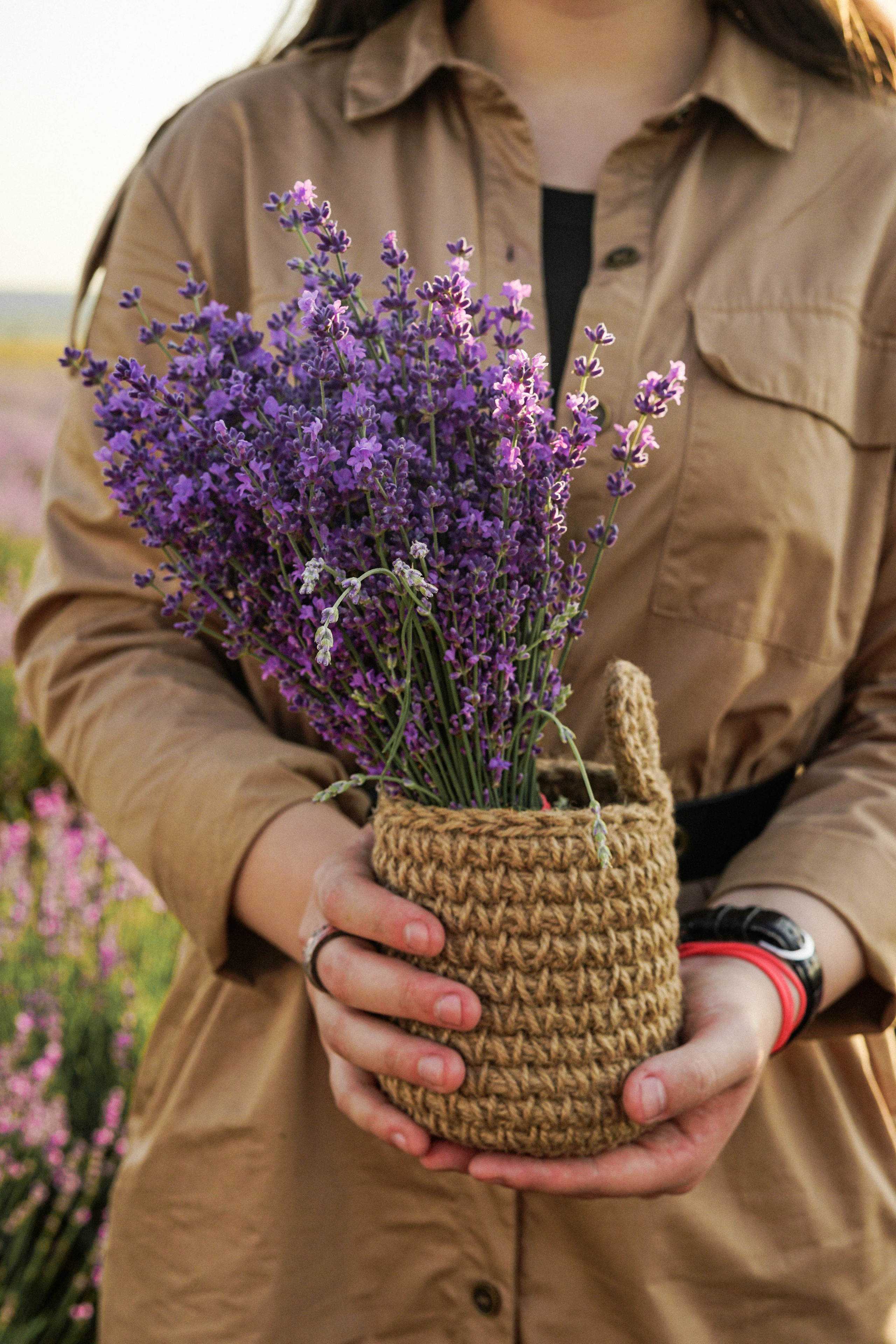 Lavanda. Фотограф в Крыму