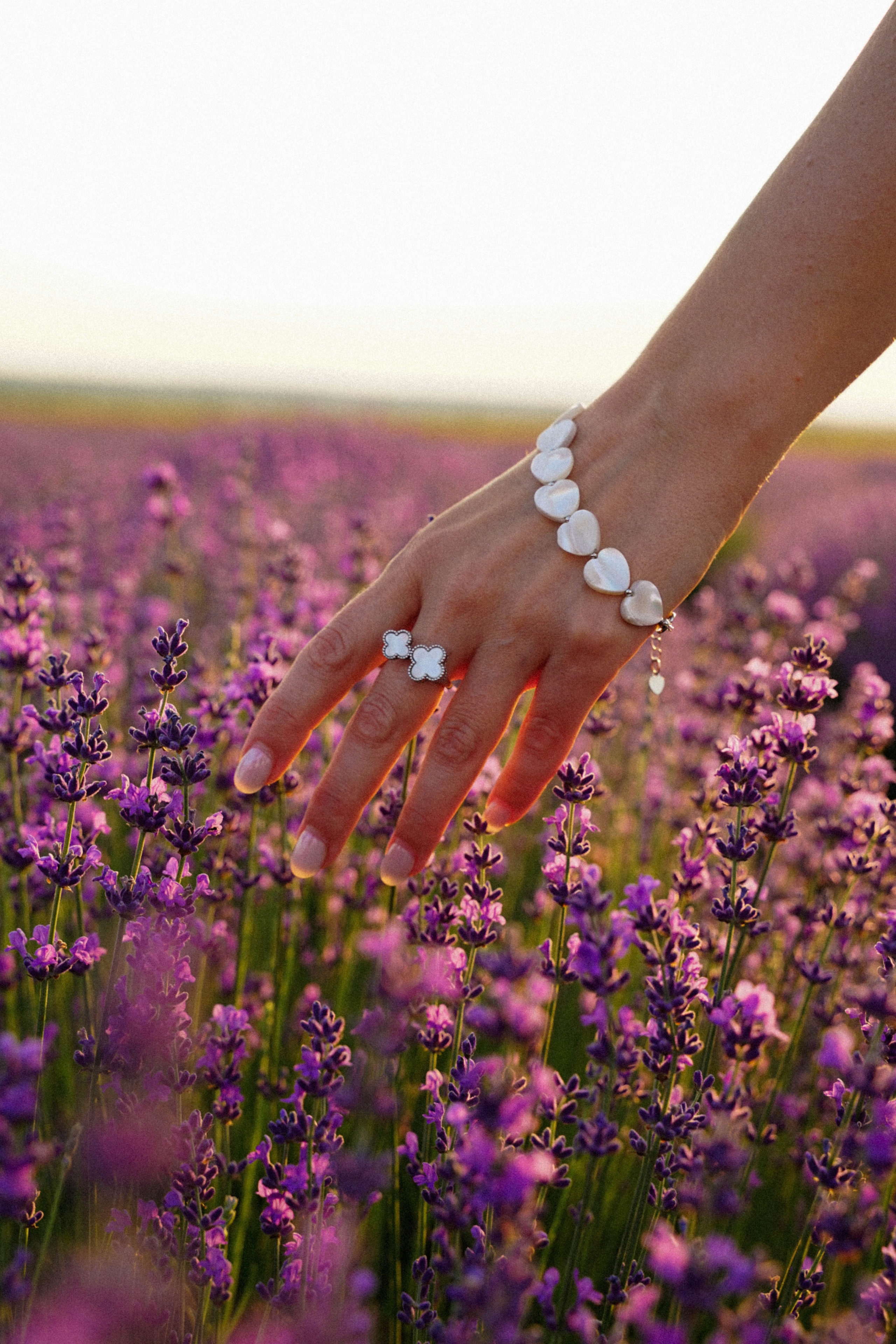 Lavanda. Фотограф в Крыму