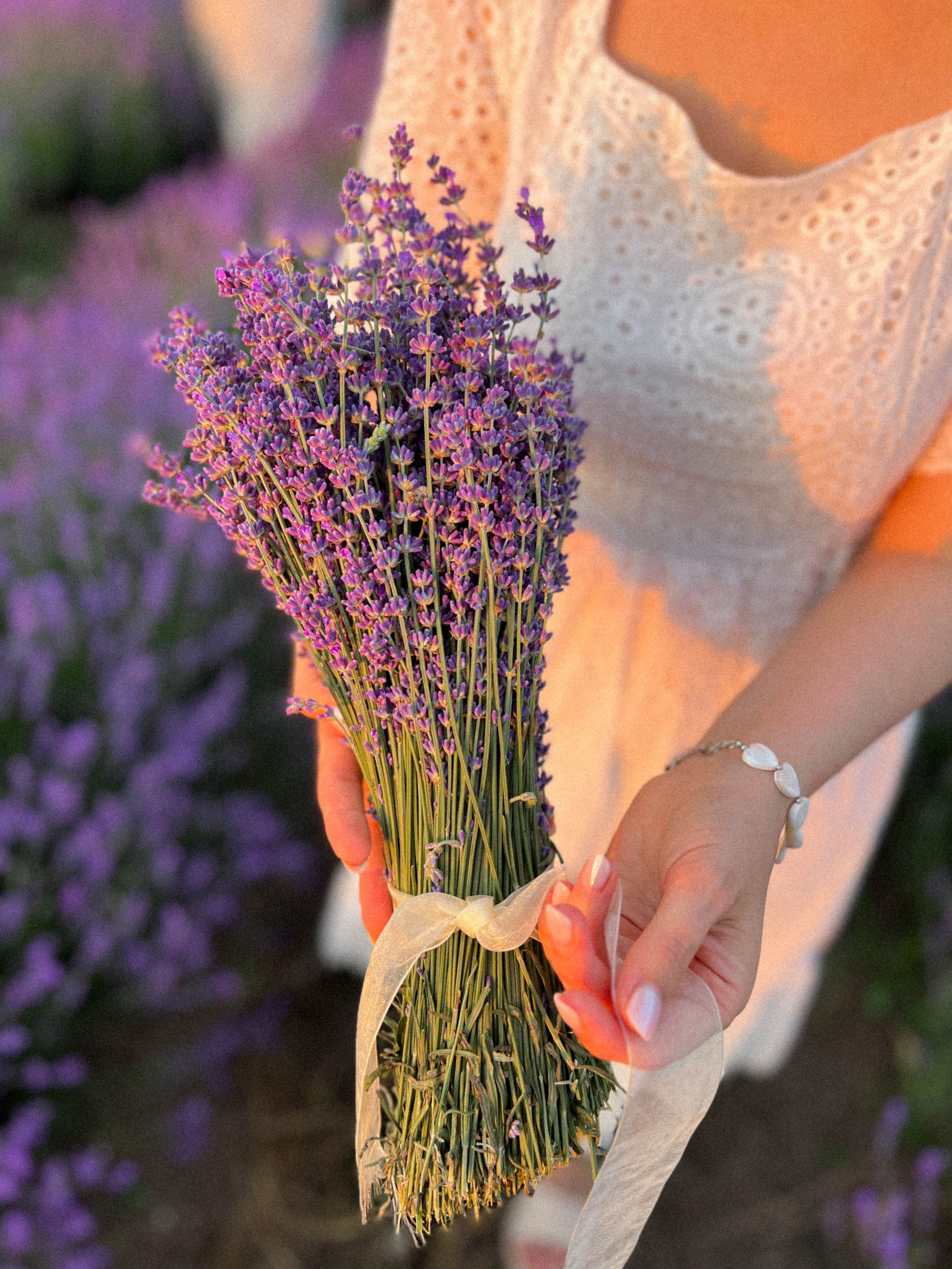 Lavanda. Фотограф в Крыму
