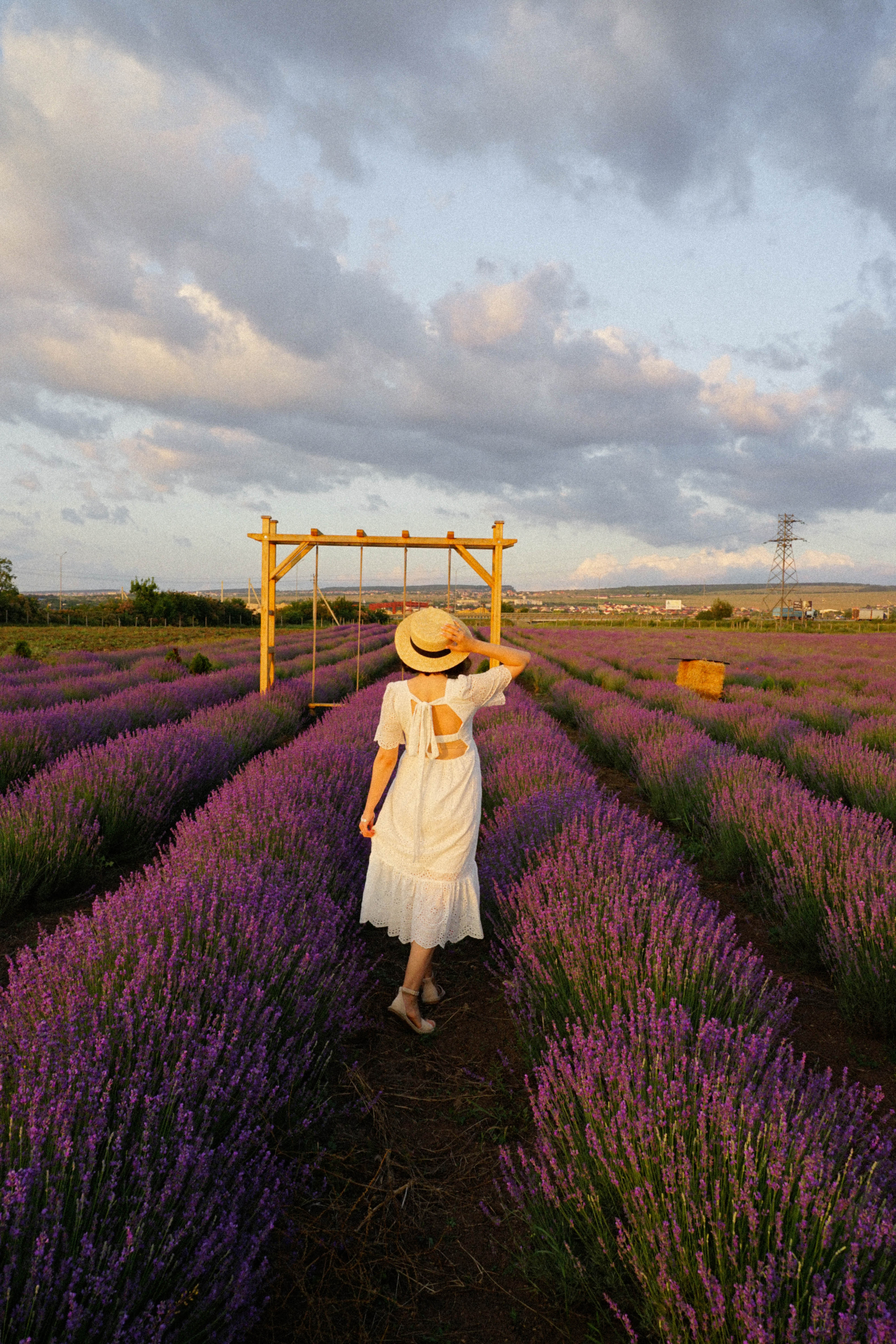 Lavanda. Фотограф в Крыму