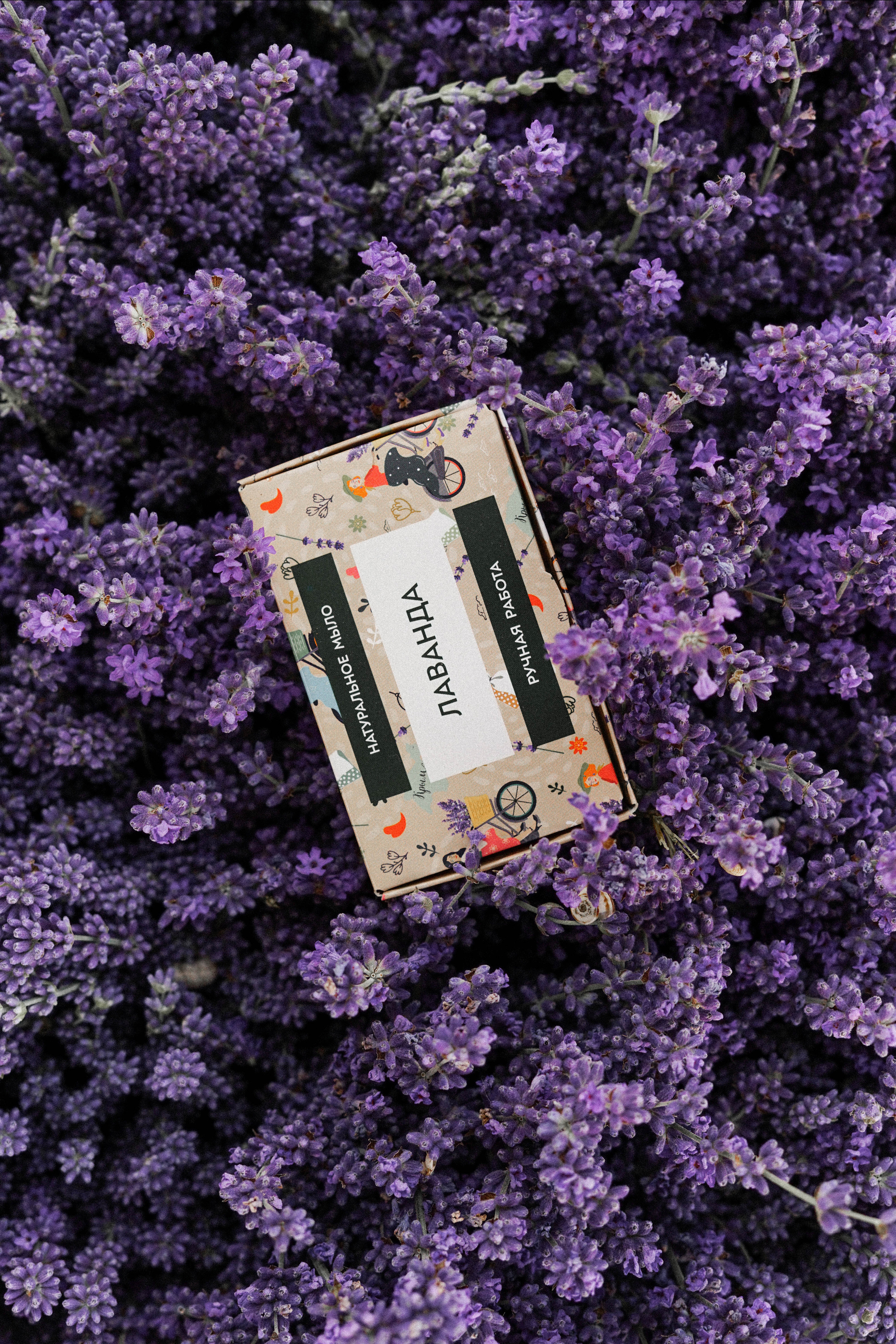 Lavanda. Фотограф в Крыму