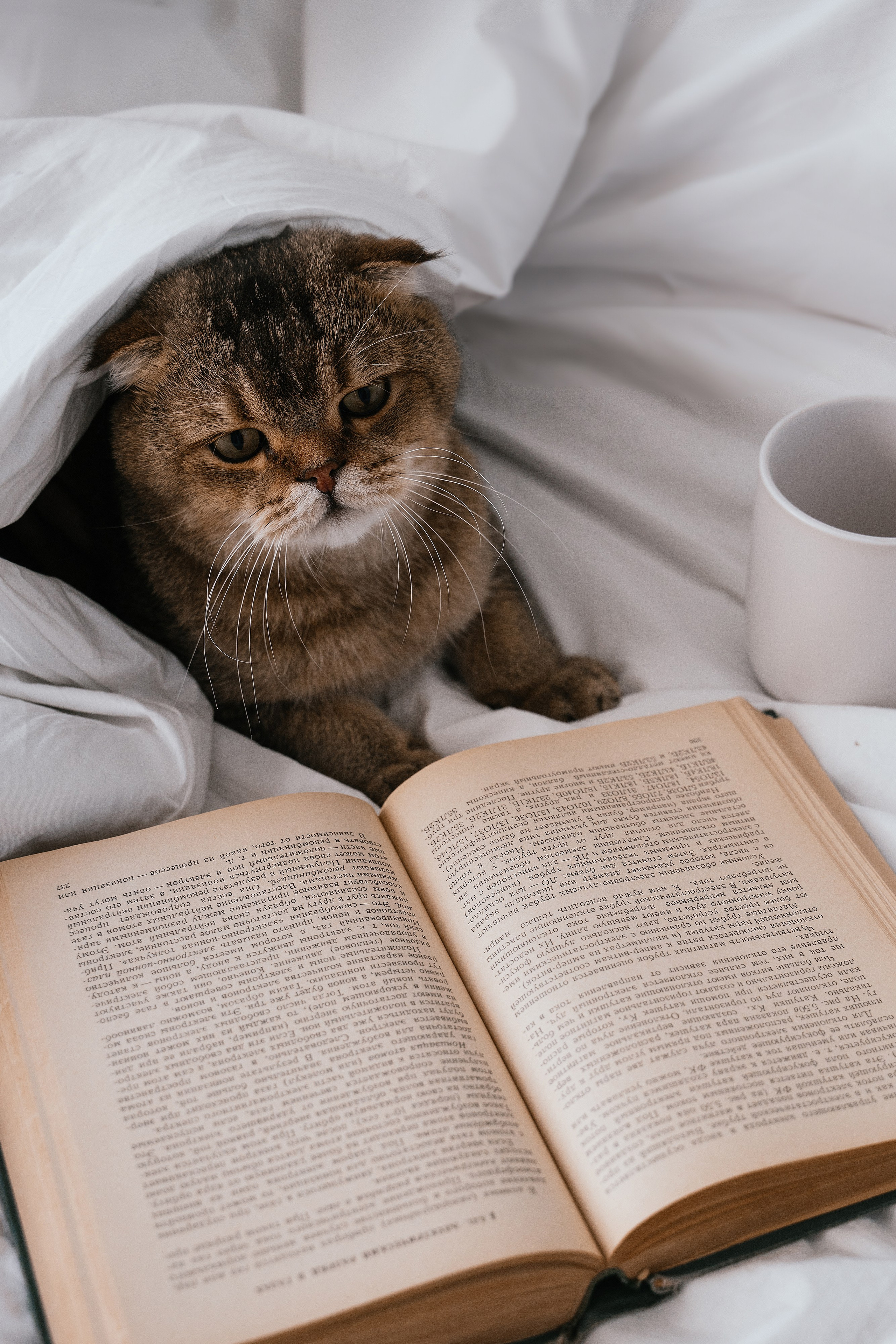 Женя и Кекс. Свадебный, семейный фотограф в Рязани Лена Брант