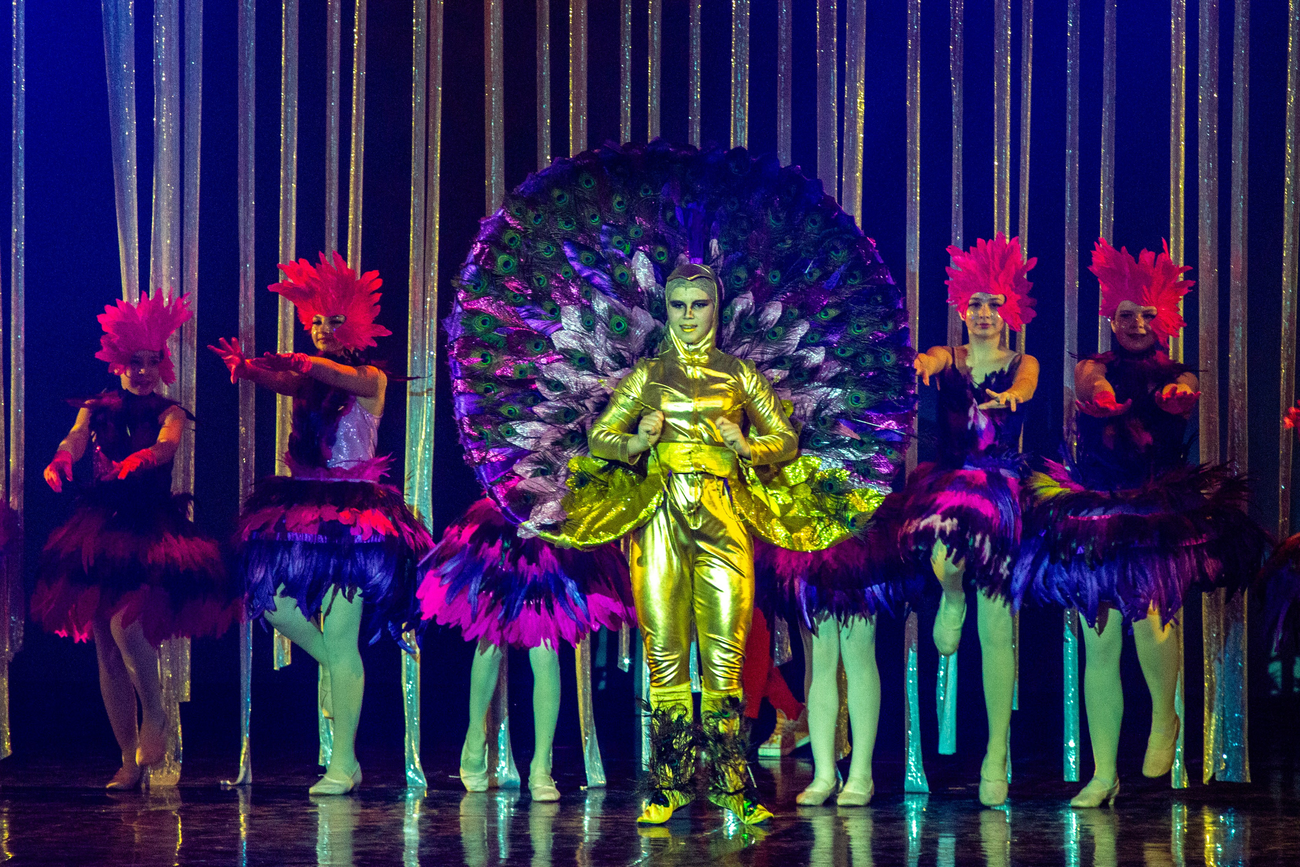 Мюзикл «Незнайка в царстве малюток» премьера Сочи солнышки и Сочи Соло. Фотограф в Сочи Юрий Шептаев