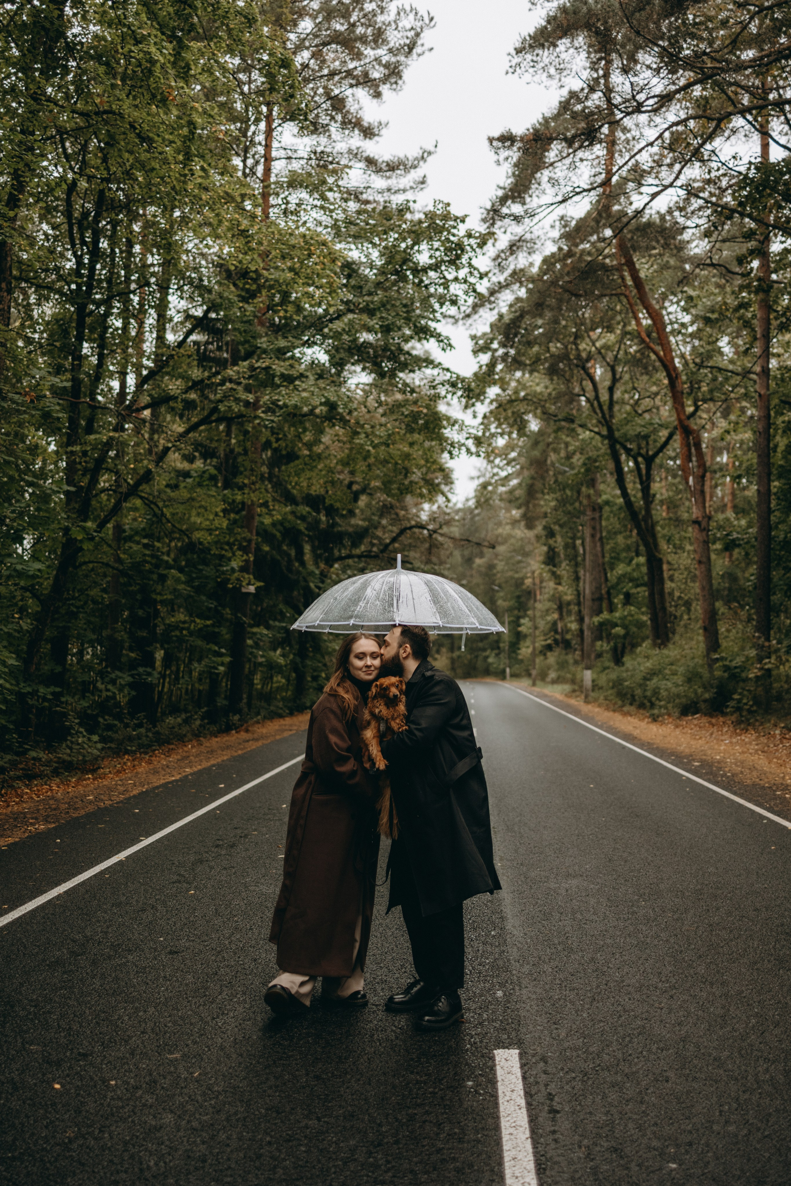 Пресеты. Фотограф — Анималист | Санкт-Петербург