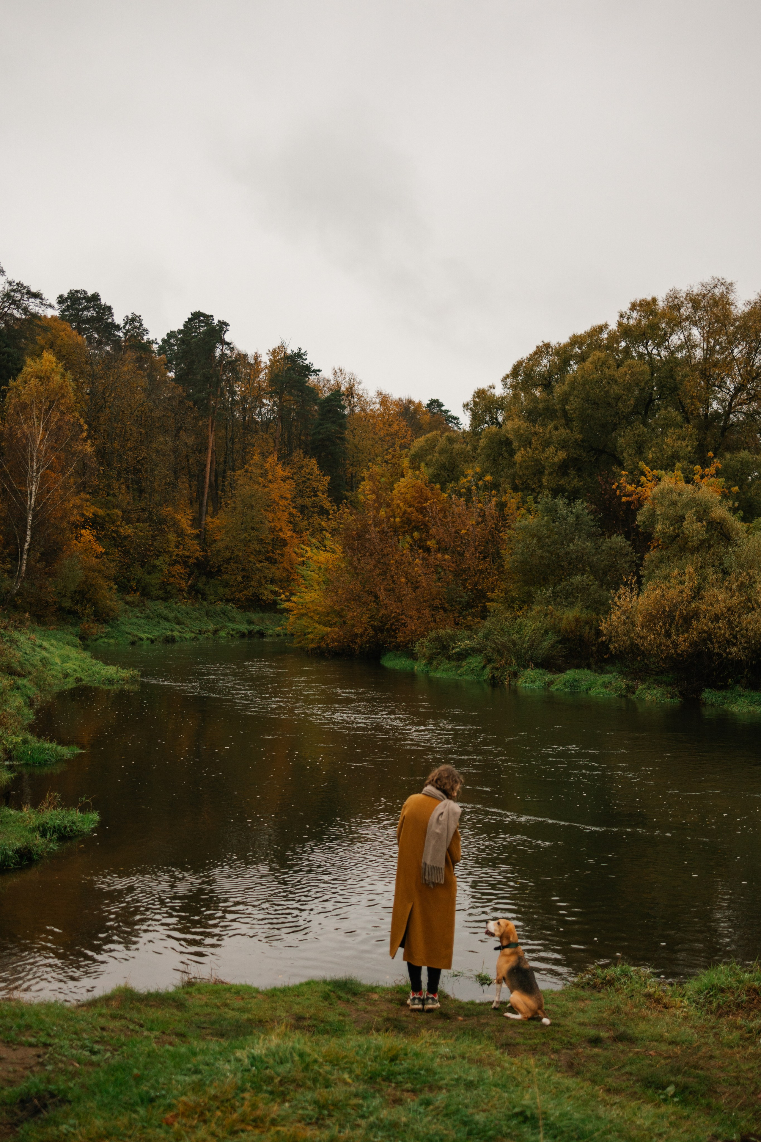Лена и Тайгер. Фотограф — Анималист | Санкт-Петербург