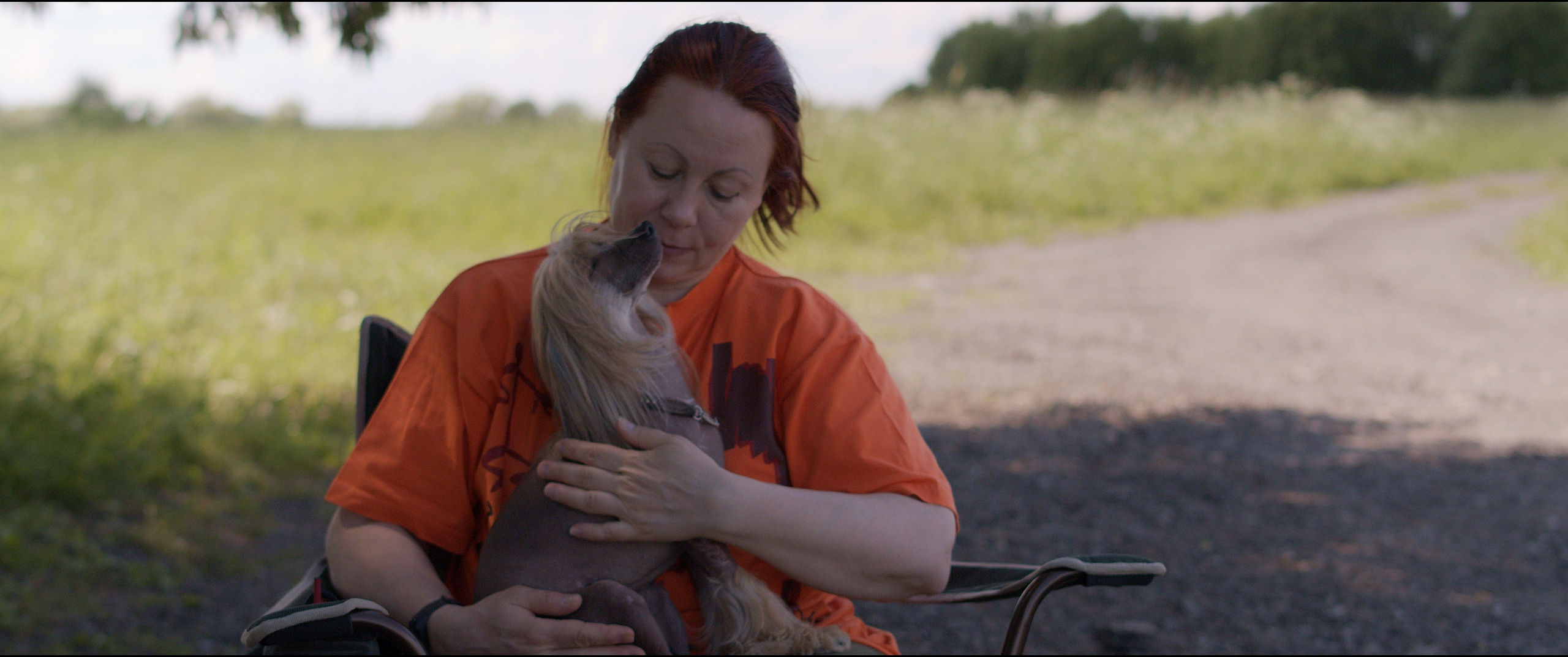 Footage from the interview. Poale Ell Chinese Crested Dog Kennel: Buy a puppy from the kennel