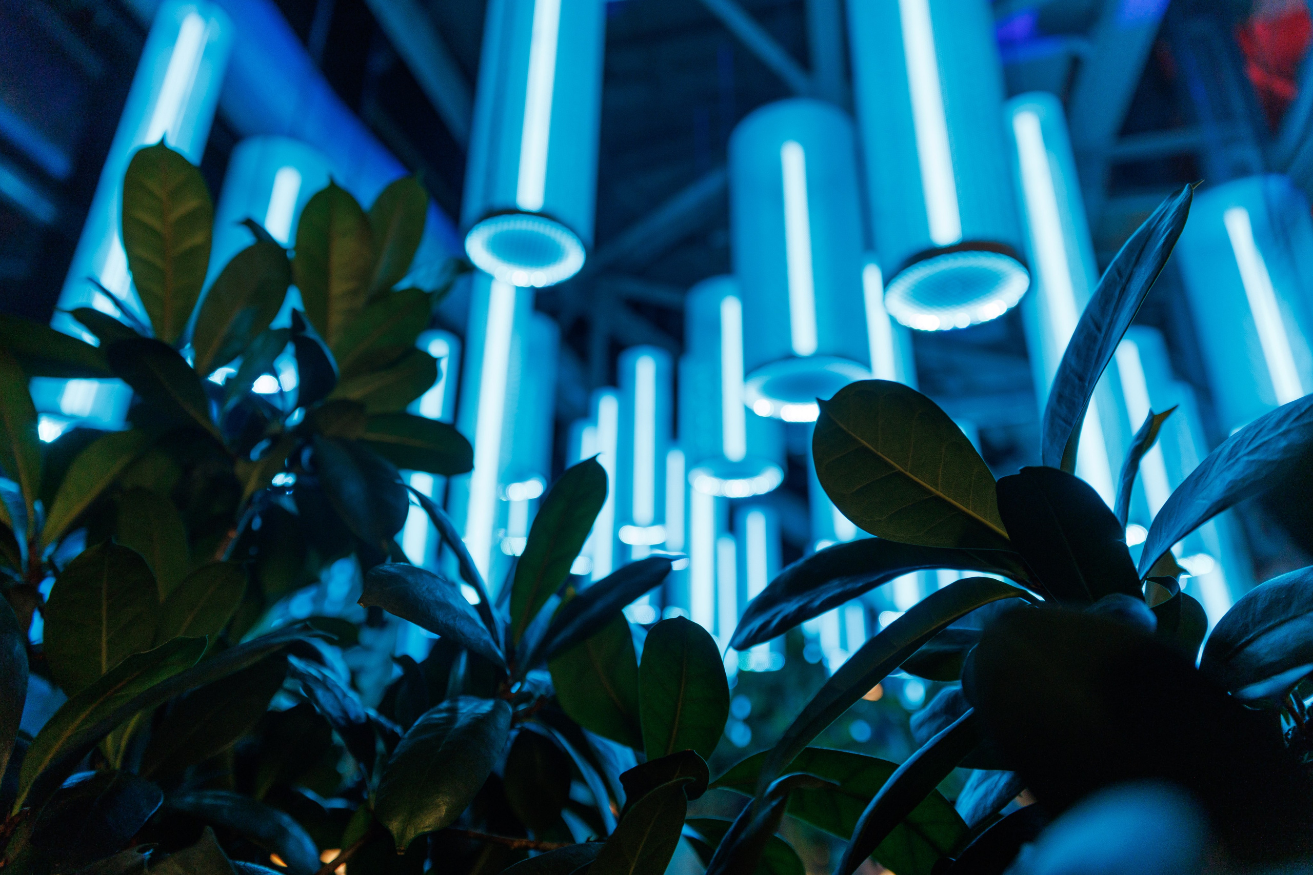 Разное. Фотограф Вадим Казусь