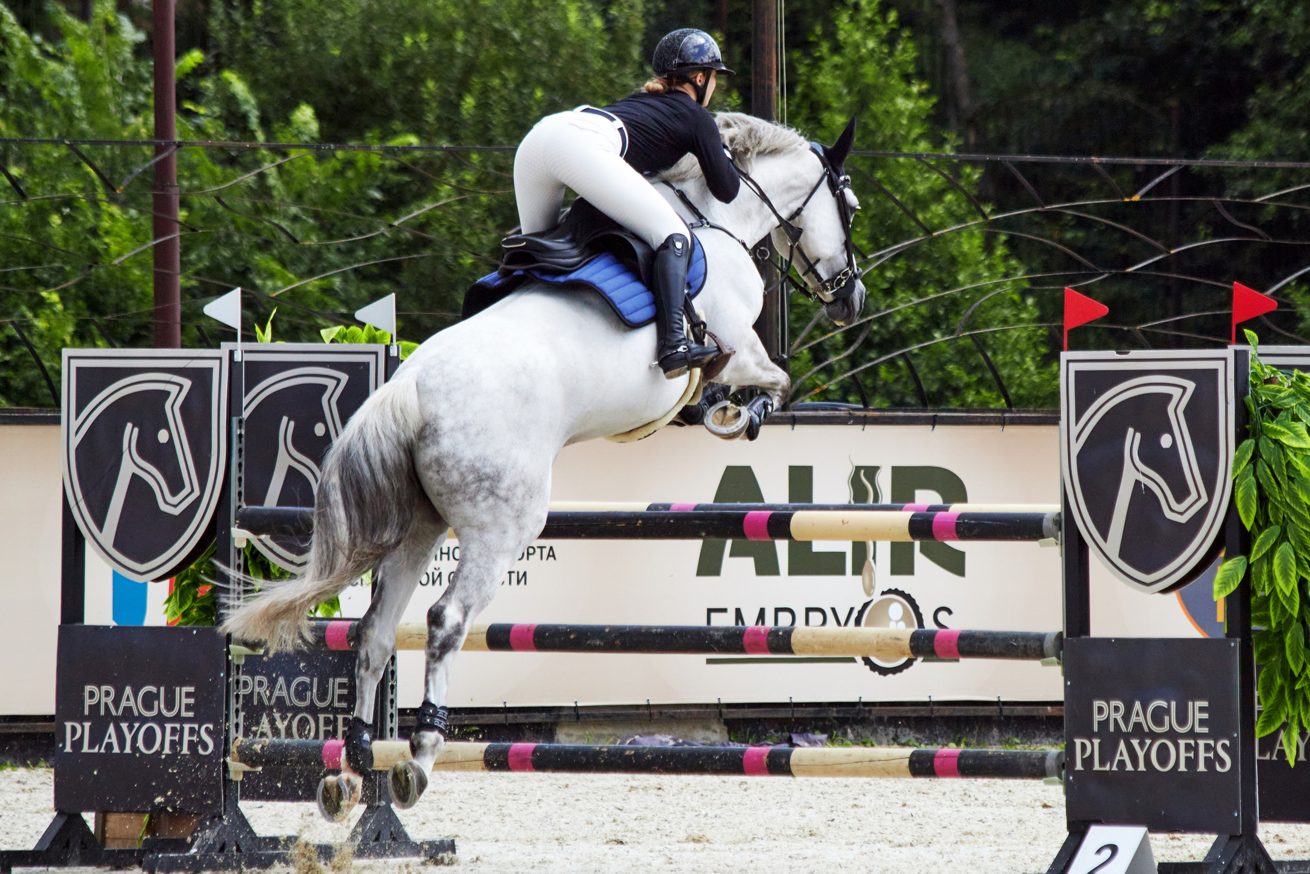 Конкур в «Виват, Россия». Фотограф анималист — Тула, Москва