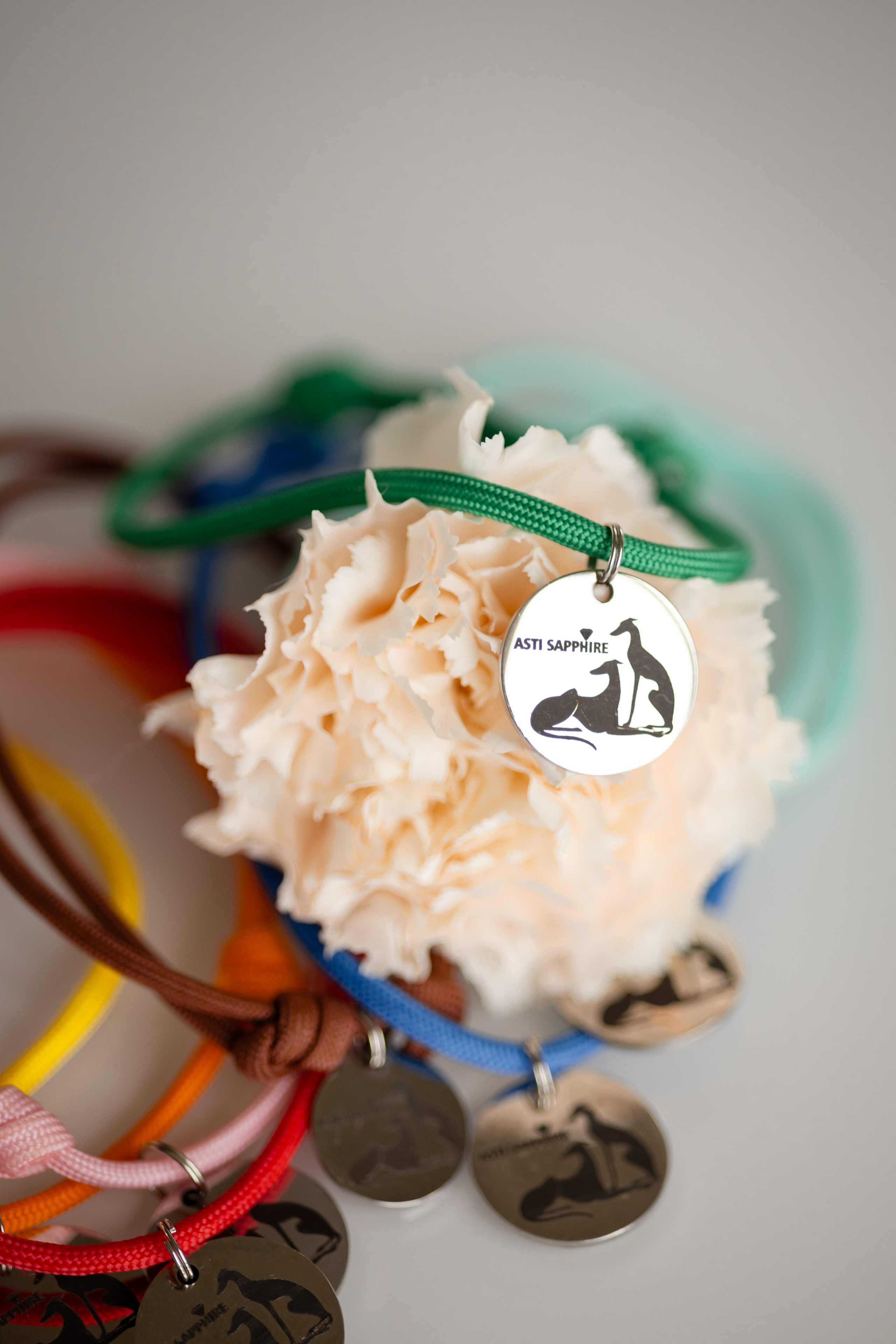 Прогулки. Профессиональный питомник левреток РКФ/FCI ASTI SAPPHIRE 💎 Сочи|Санкт-Петербург