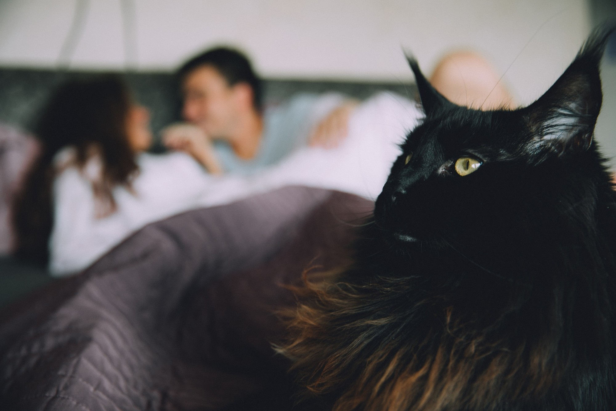 Трое дома, не считая кота. Самый свадебный фотограф