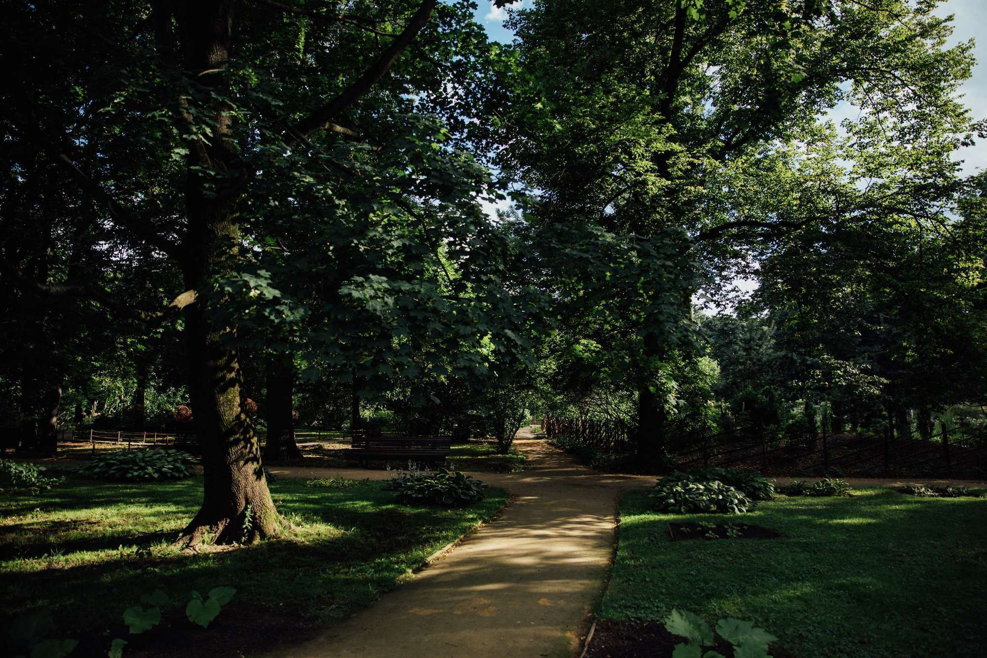 Счастливы вместе. Самый свадебный фотограф