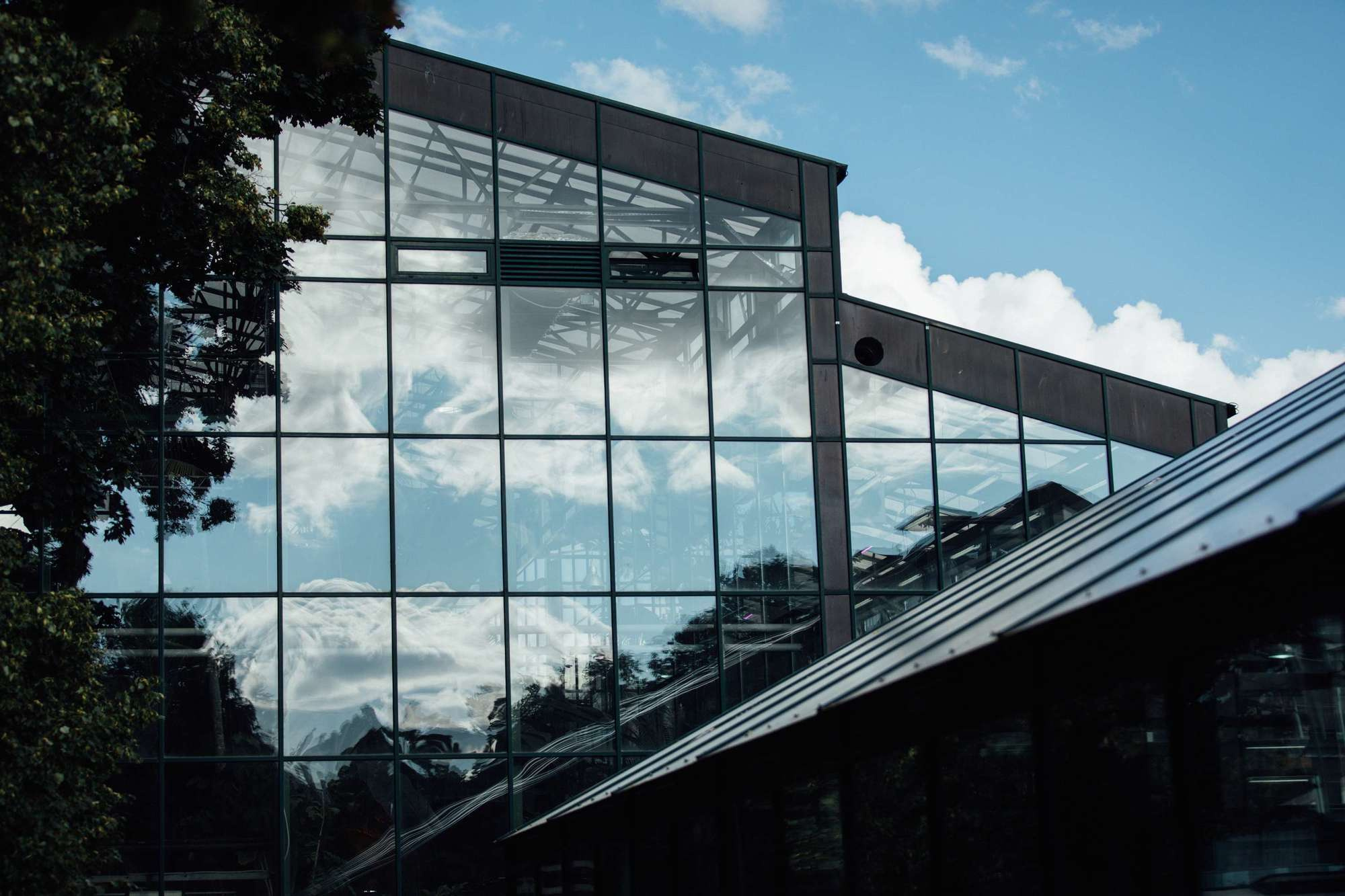 Счастливы вместе. Самый свадебный фотограф