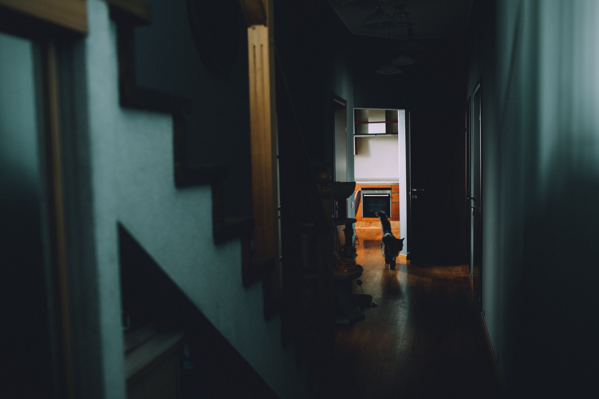 Трое дома, не считая кота. Самый свадебный фотограф