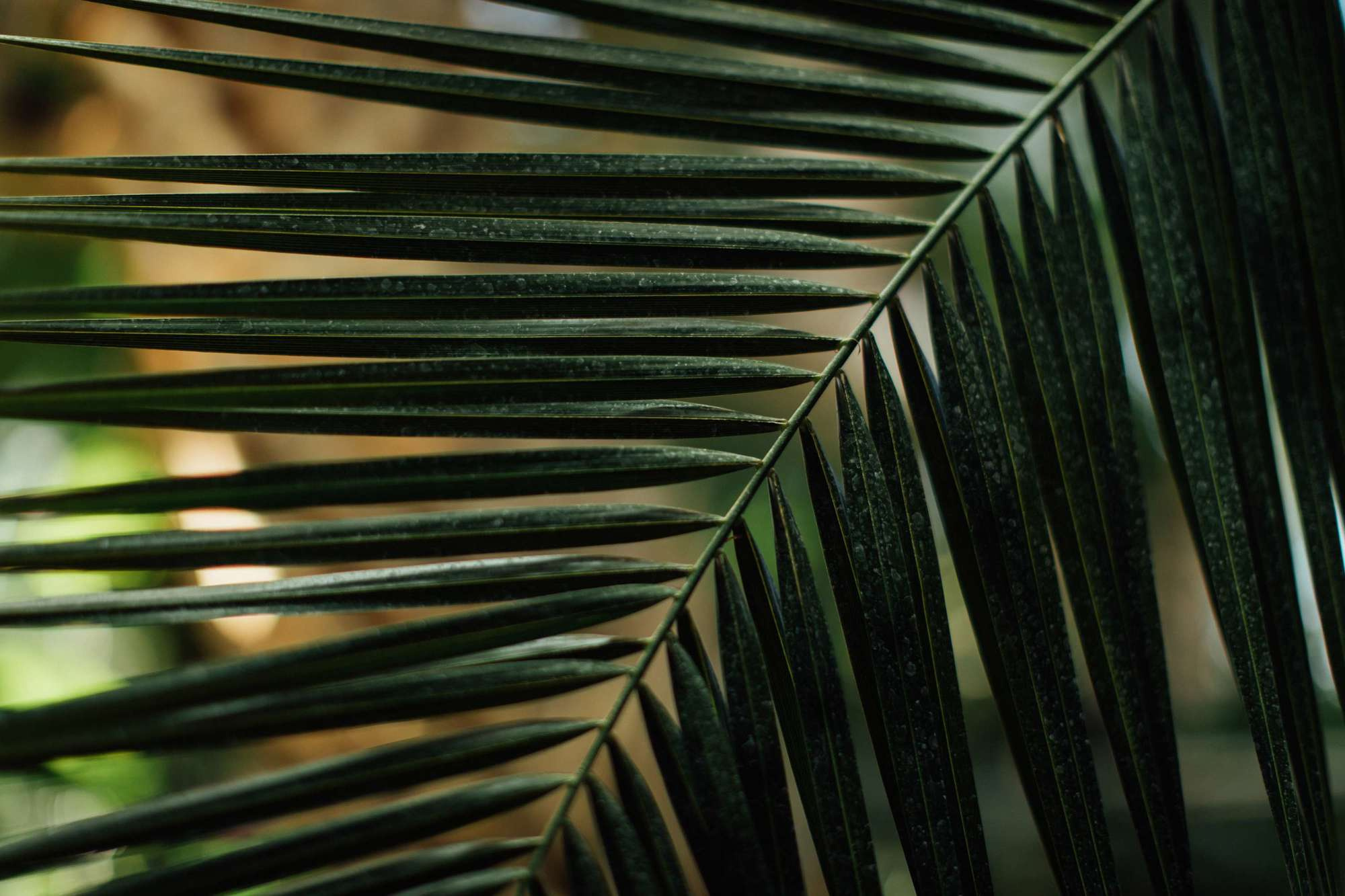 Счастливы вместе. Самый свадебный фотограф