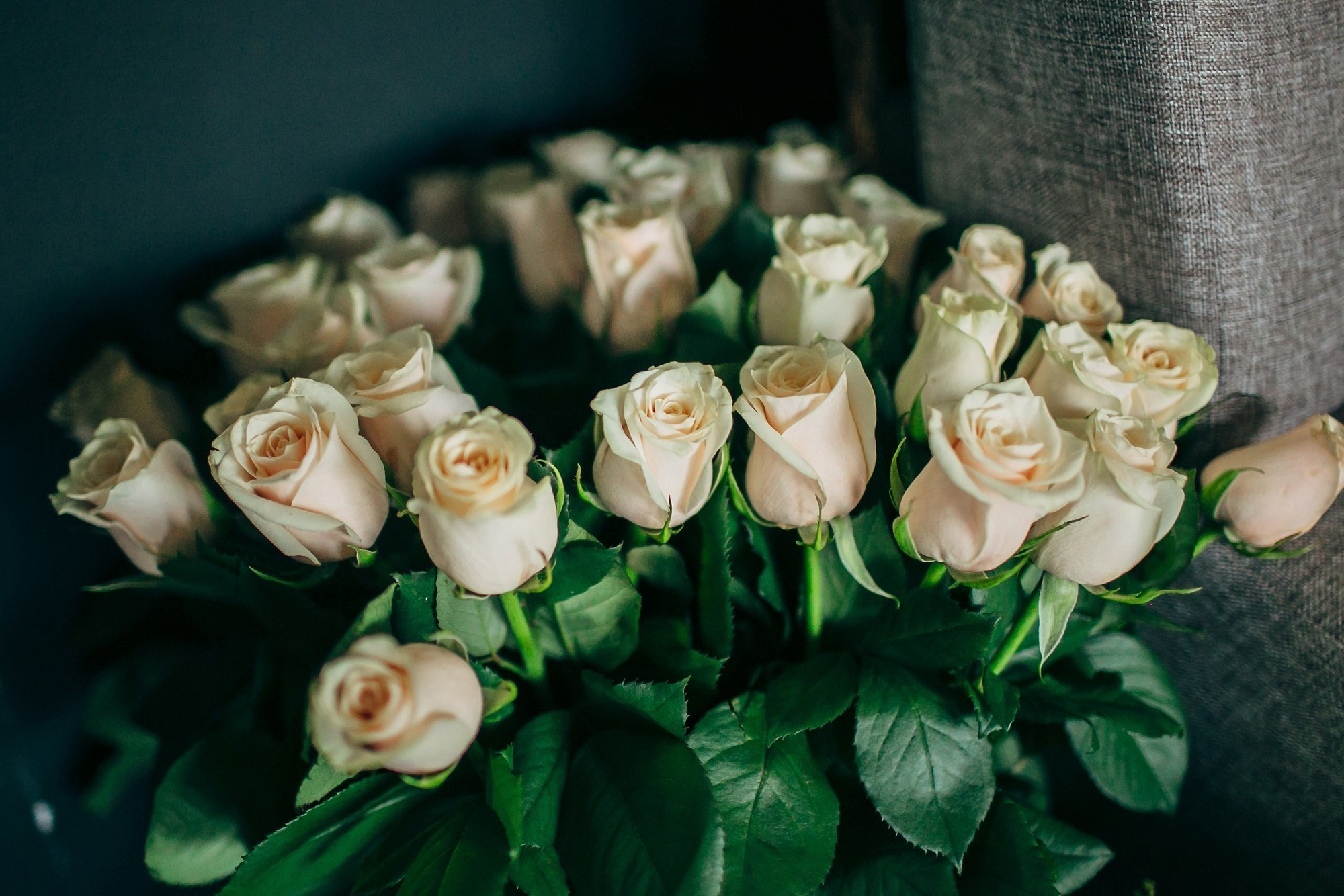 Дым, лофт, кальян, Цыгане. Самый свадебный фотограф