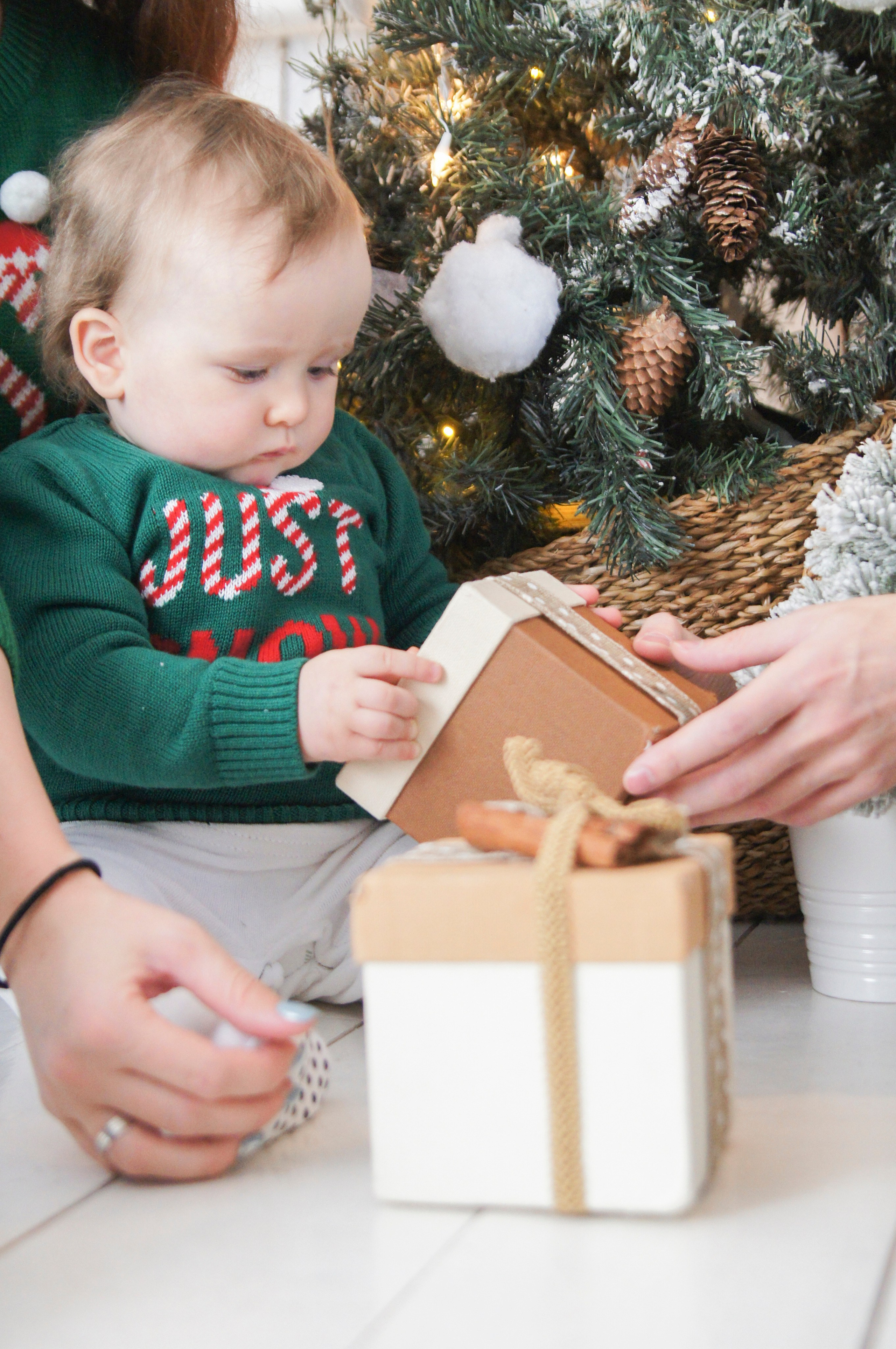 Новогодние радости. APPHOTOGRAPHY | Фотохудожник Анна Камчатная